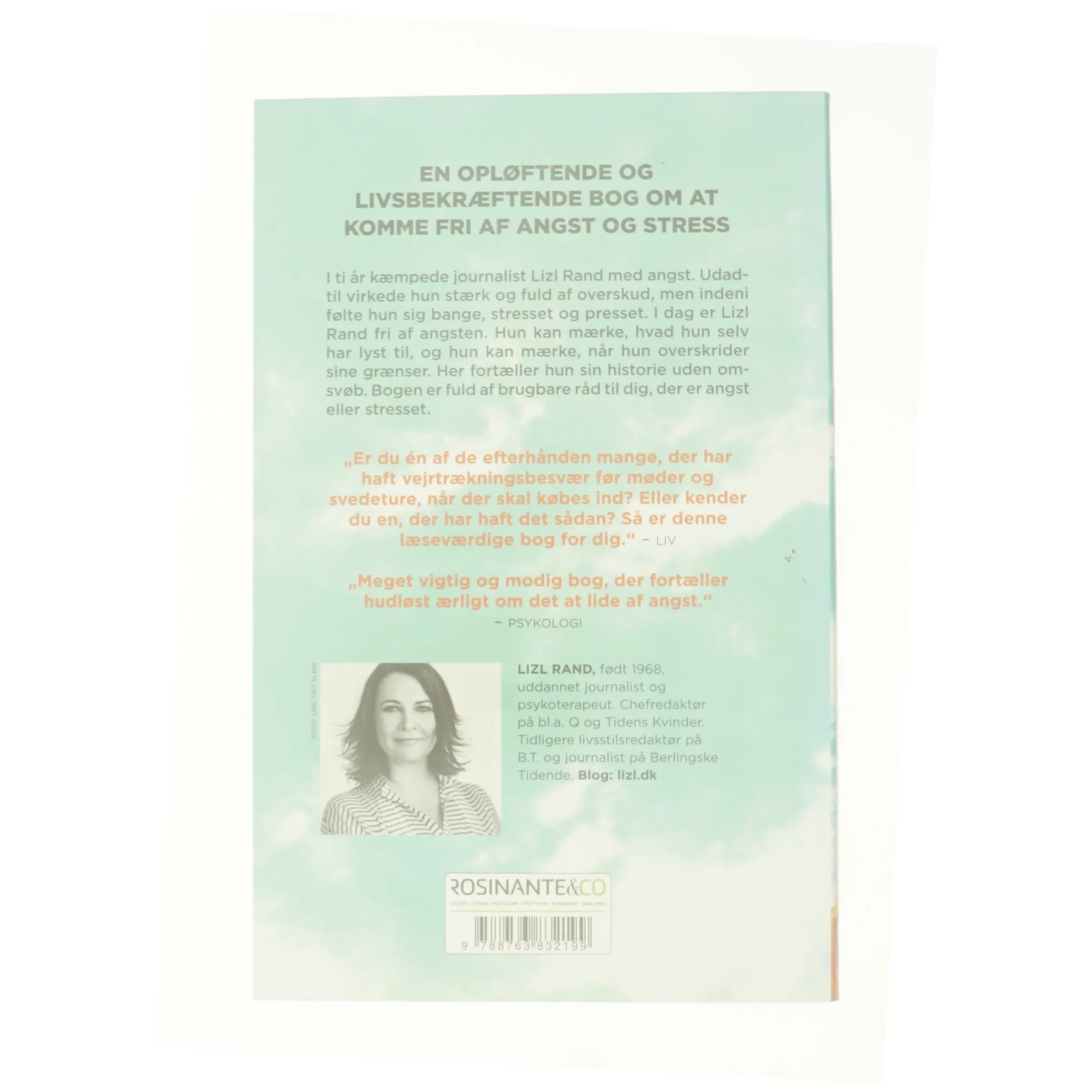 Kom stærk ud af din angst af Lizl Rand