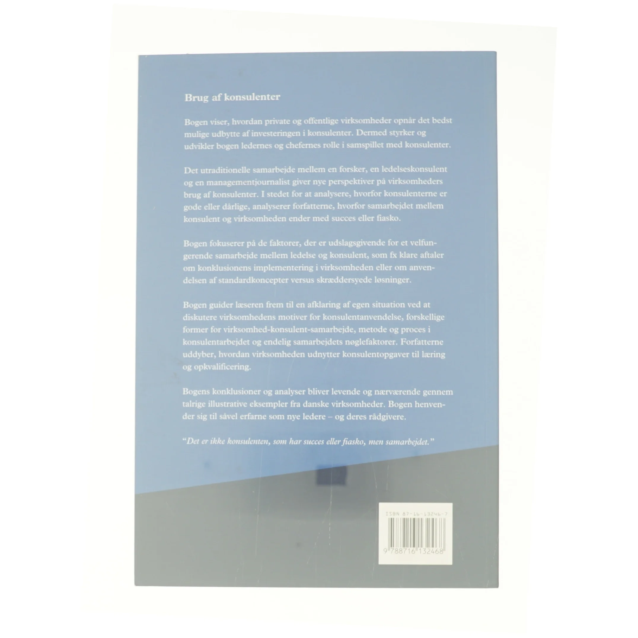 Brug af konsulenter (Bog)