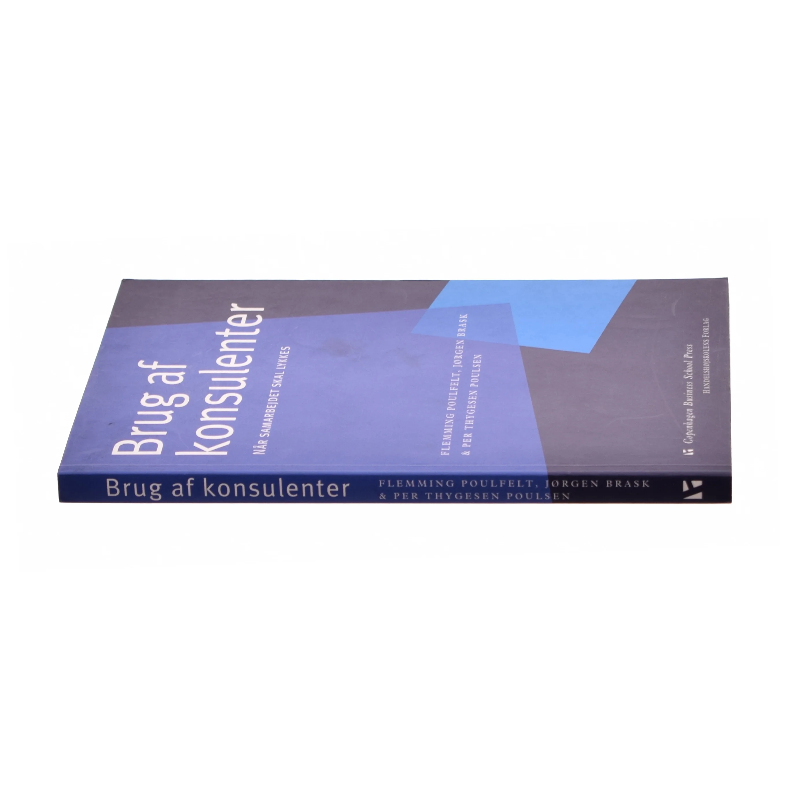 Brug af konsulenter (Bog)