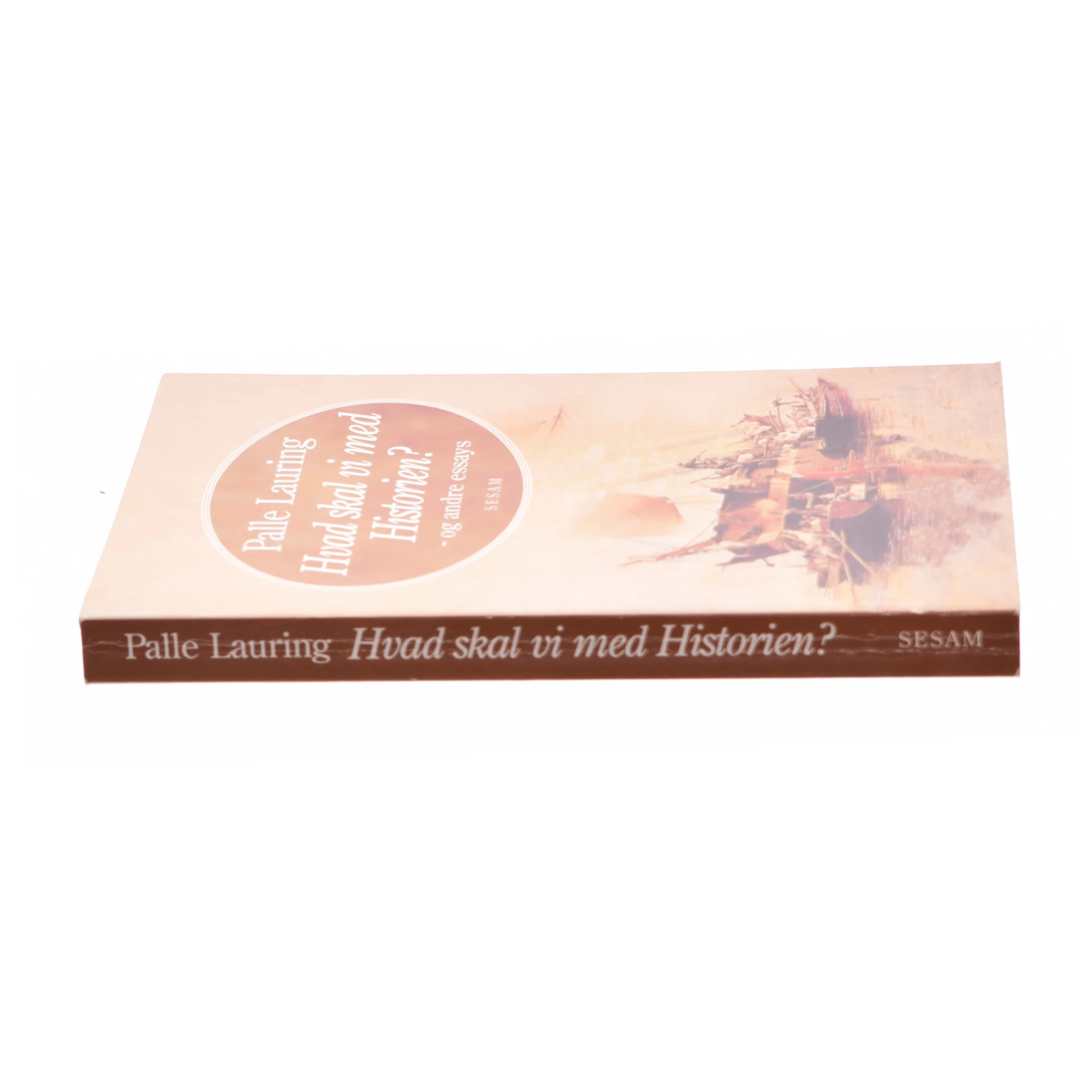 Hvad skal vi med historien? - og andre essays af Palle Lauring (Bog)