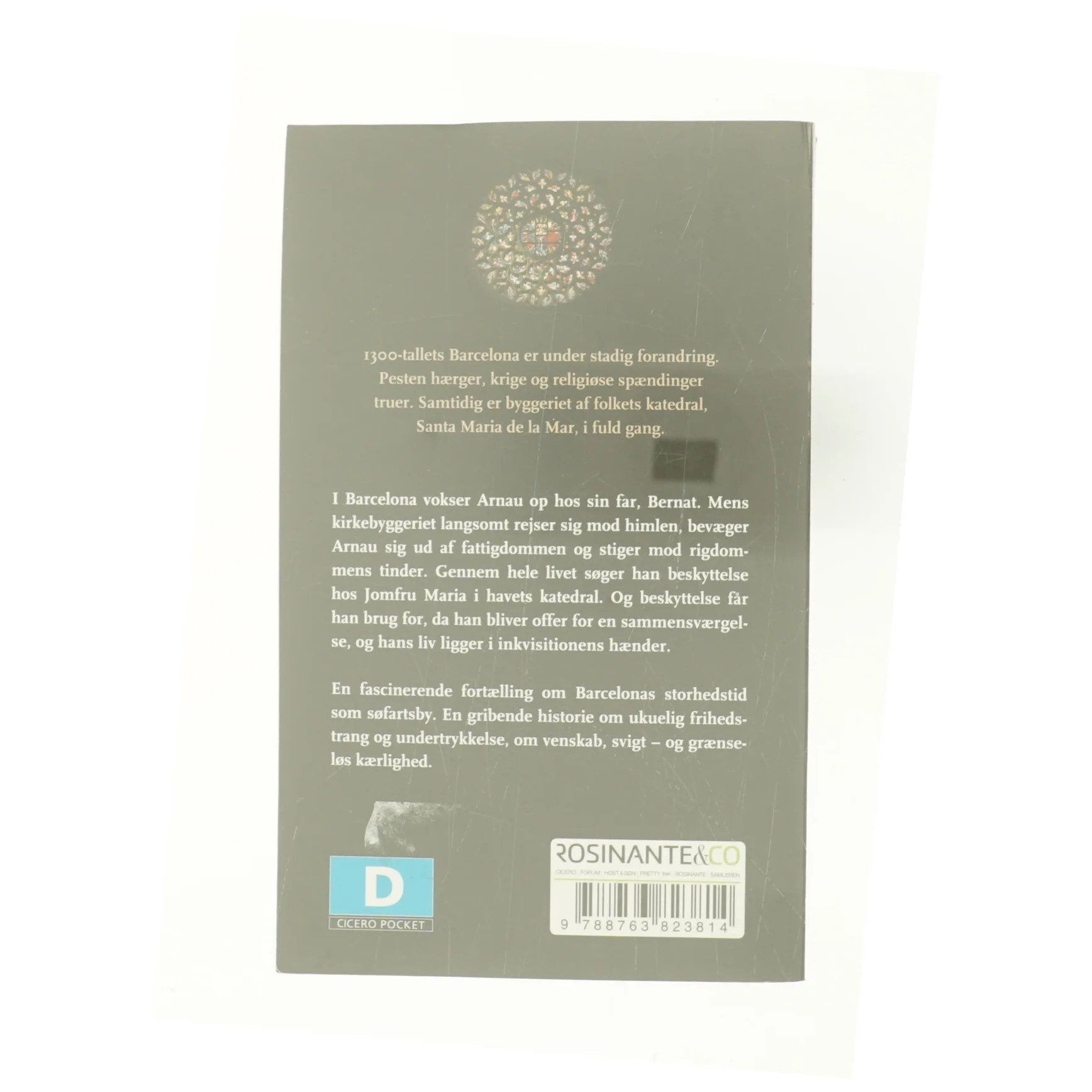 Havets katedral af Ildefonso Falcones (Bog)