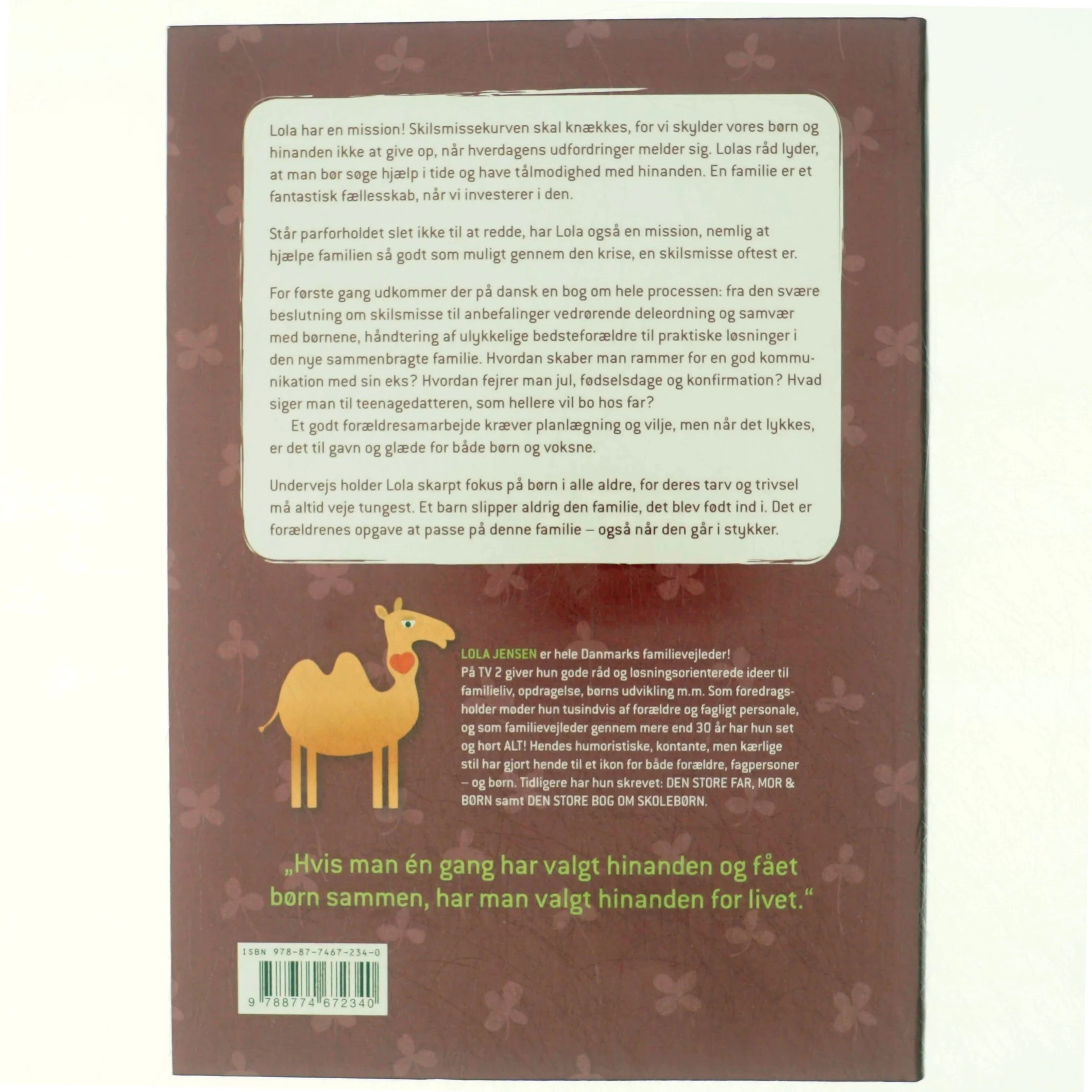 Pas på familien : - også når den går i stykker af Lola Jensen (Bog)