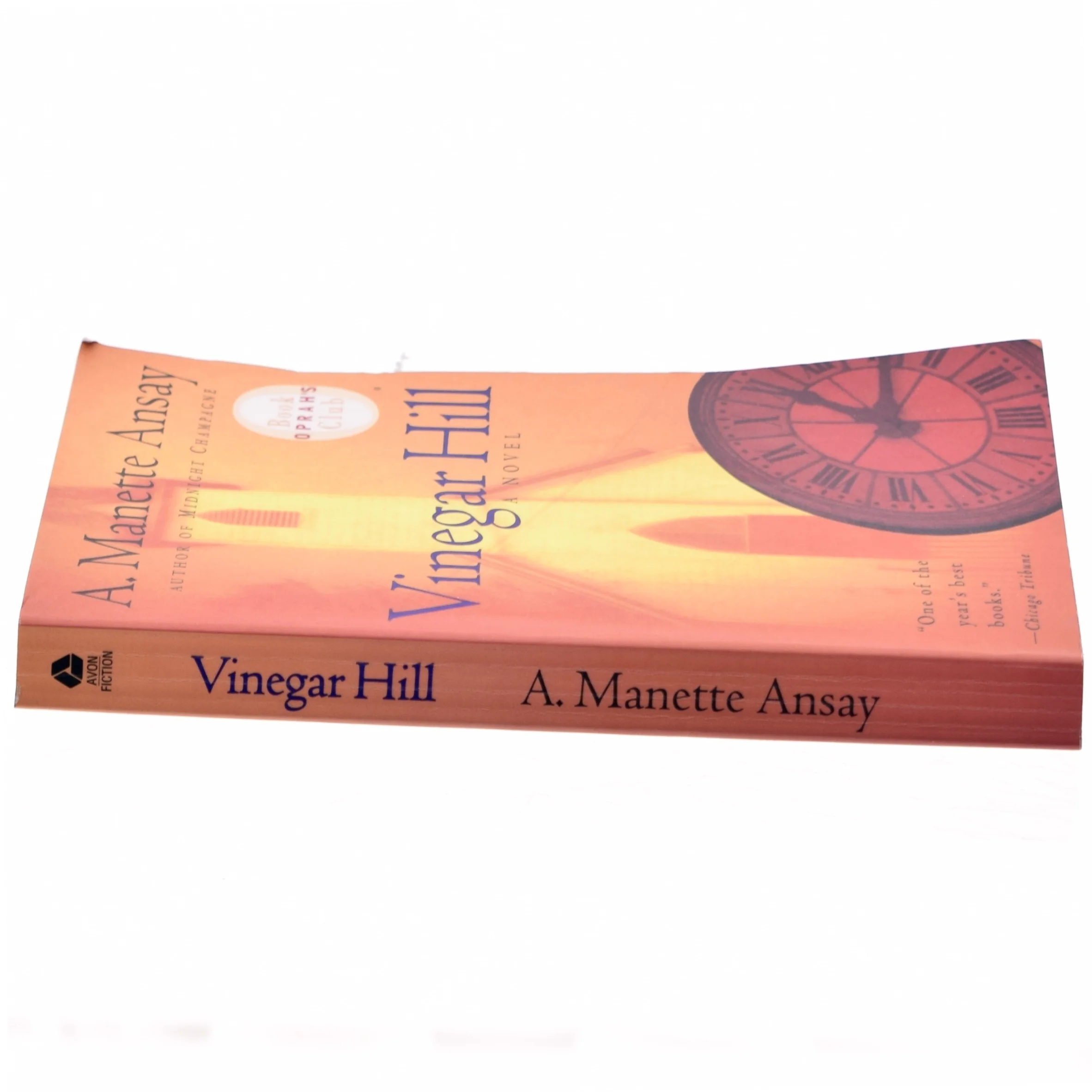Vinegar Hill af A. Manette Ansay (Bog)