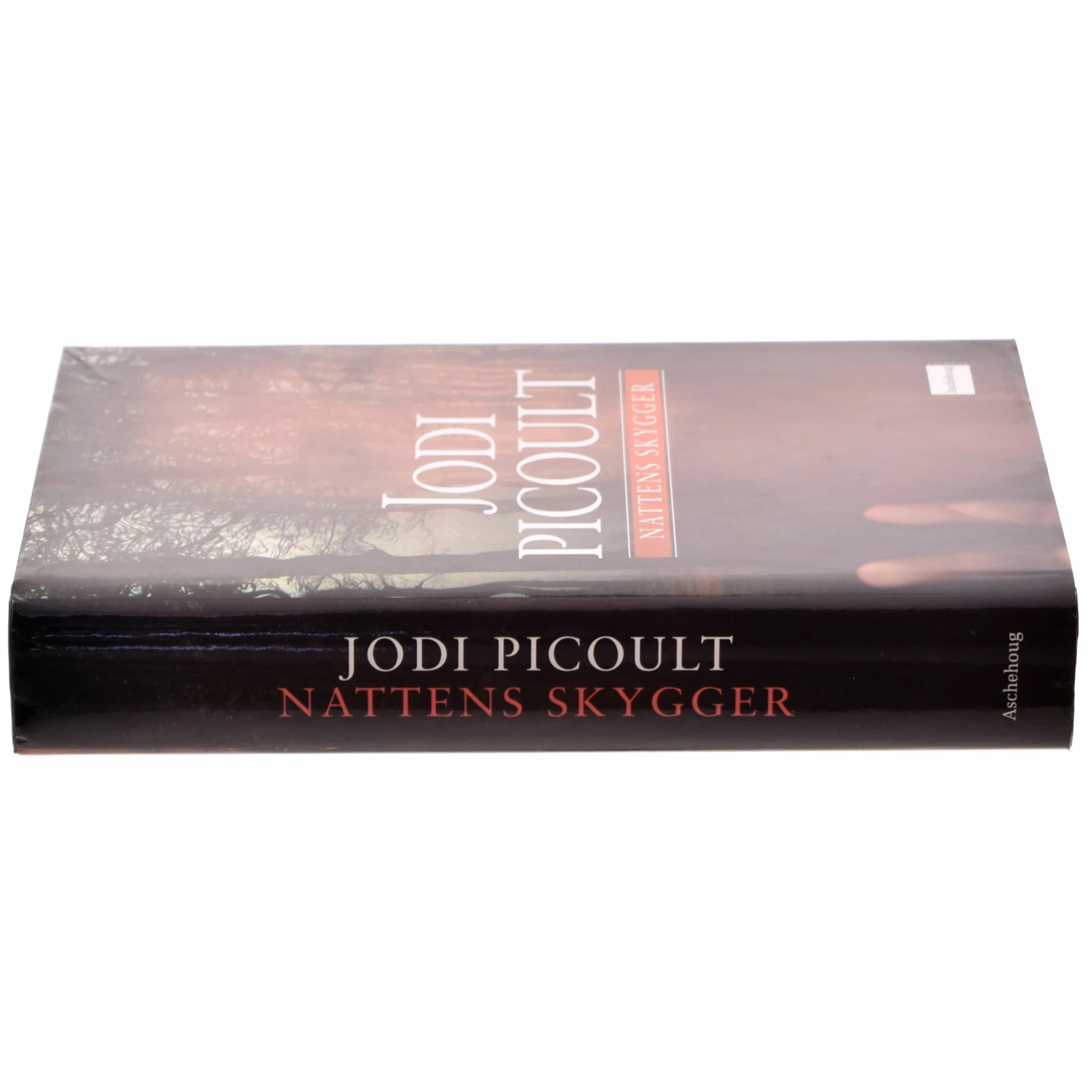 Nattens skygger af Jodi Picoult (Bog)