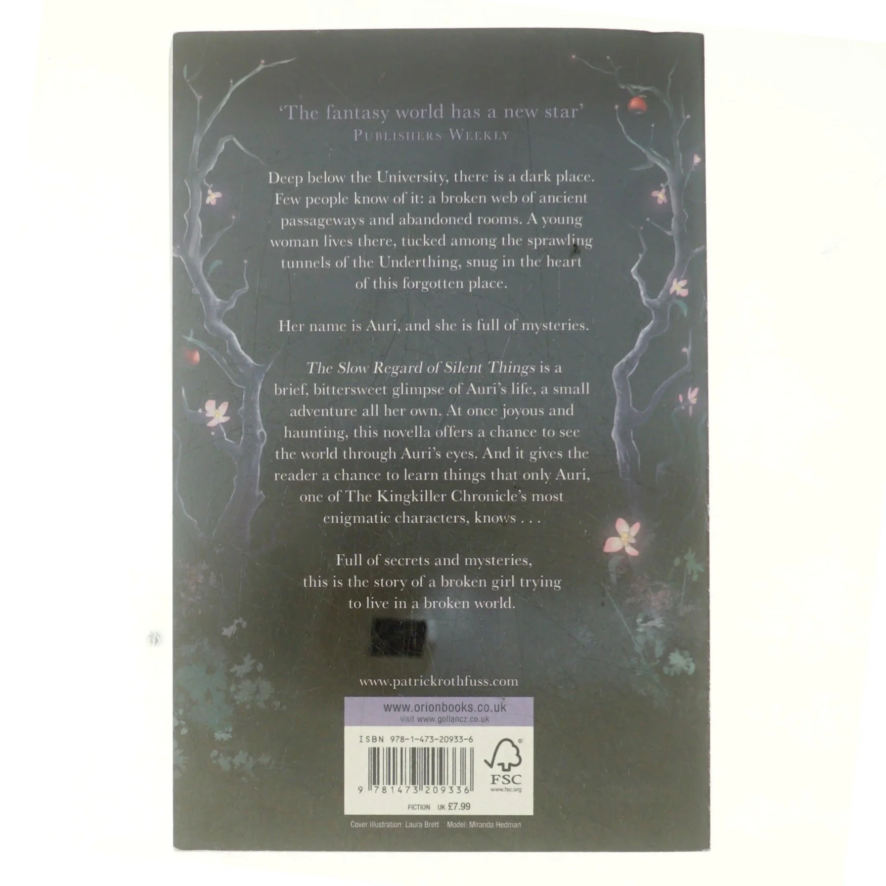 The Slow Regard of Silent Things af Patrick Rothfuss (Bog)