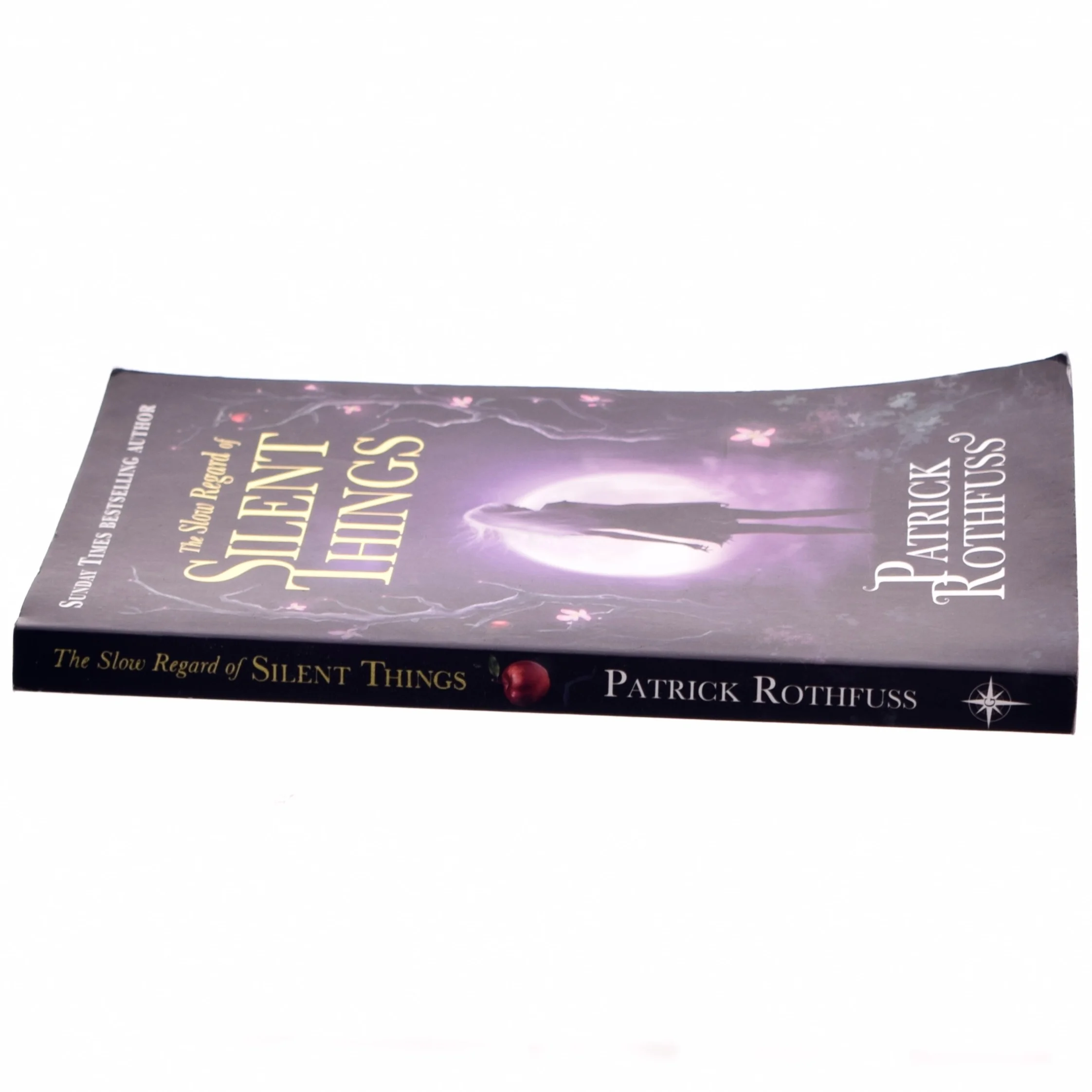 The Slow Regard of Silent Things af Patrick Rothfuss (Bog)