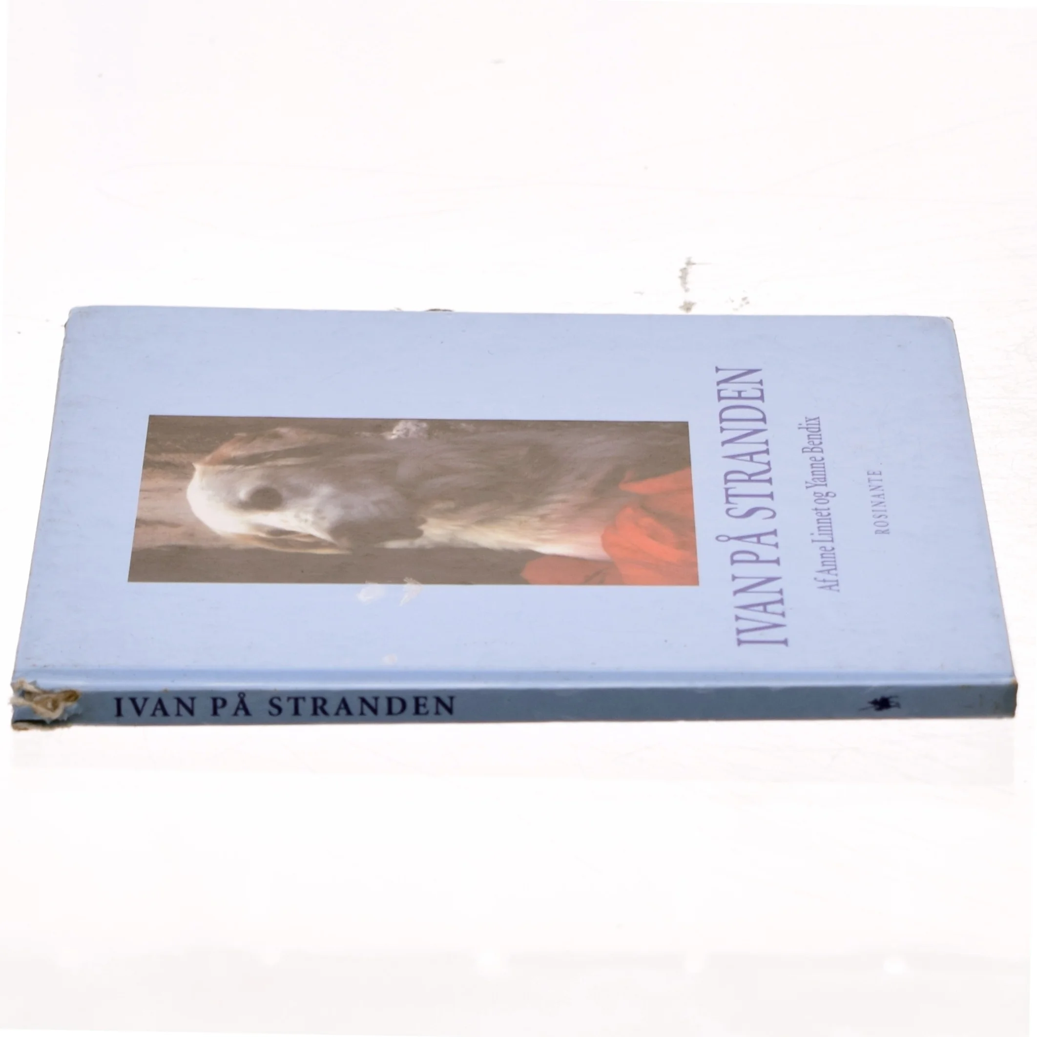 Ivan på stranden af Anne Linnet, Yanne Bendix (Bog)