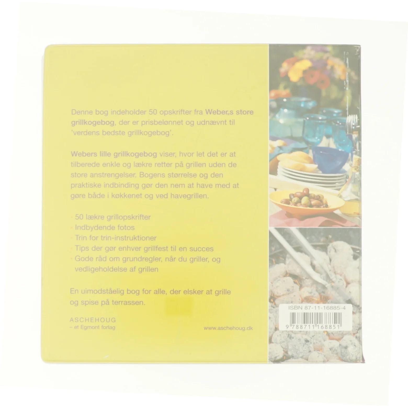 Webers lille grilkogebog af Matthew Drennan (Kogebog)