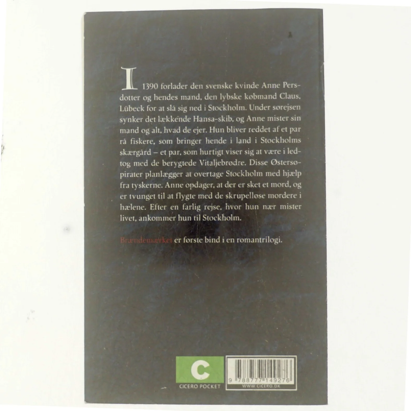 Brændemærket af Catharina Ingelman-Sundberg (Bog)