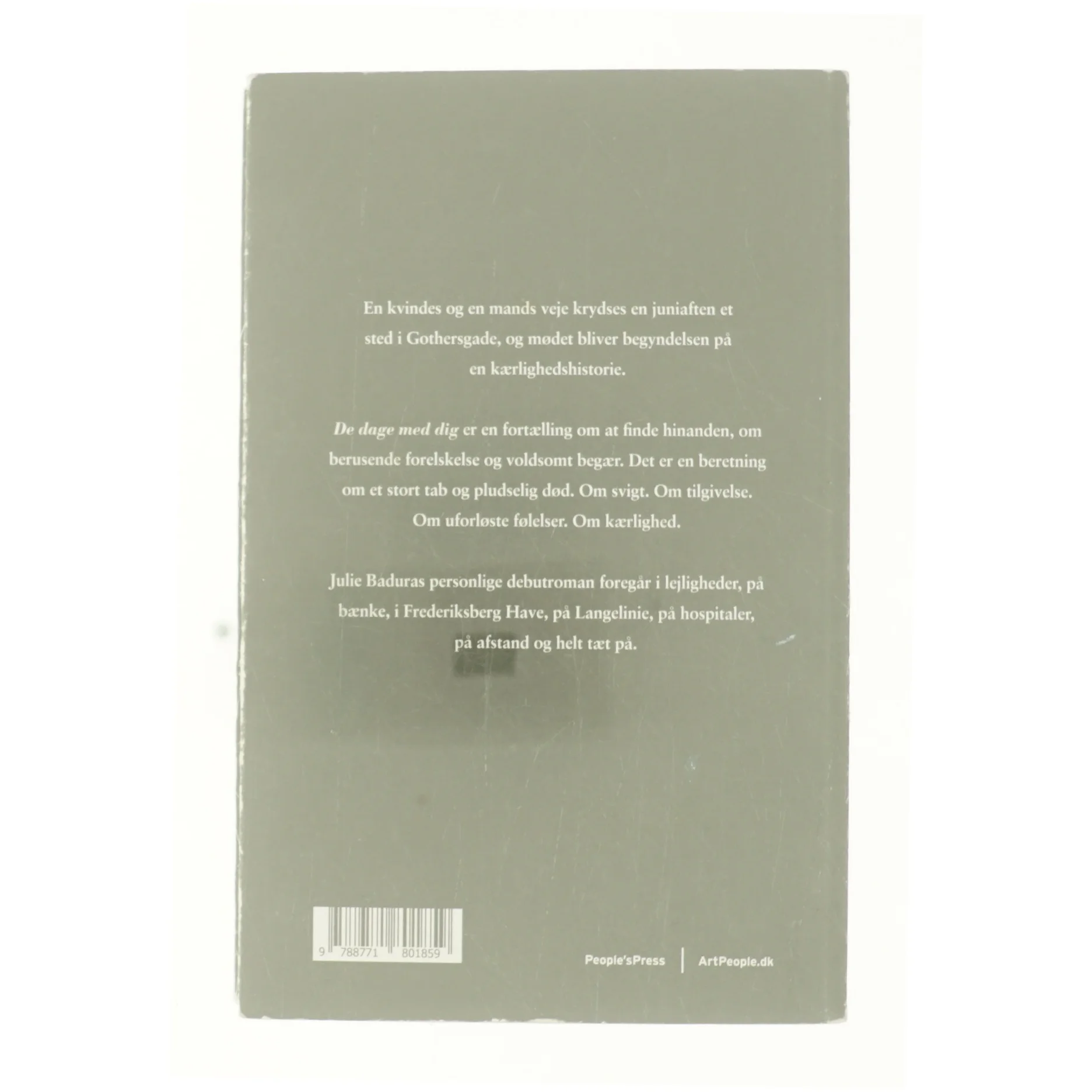 De dage med dig af Julie Badura (Bog)