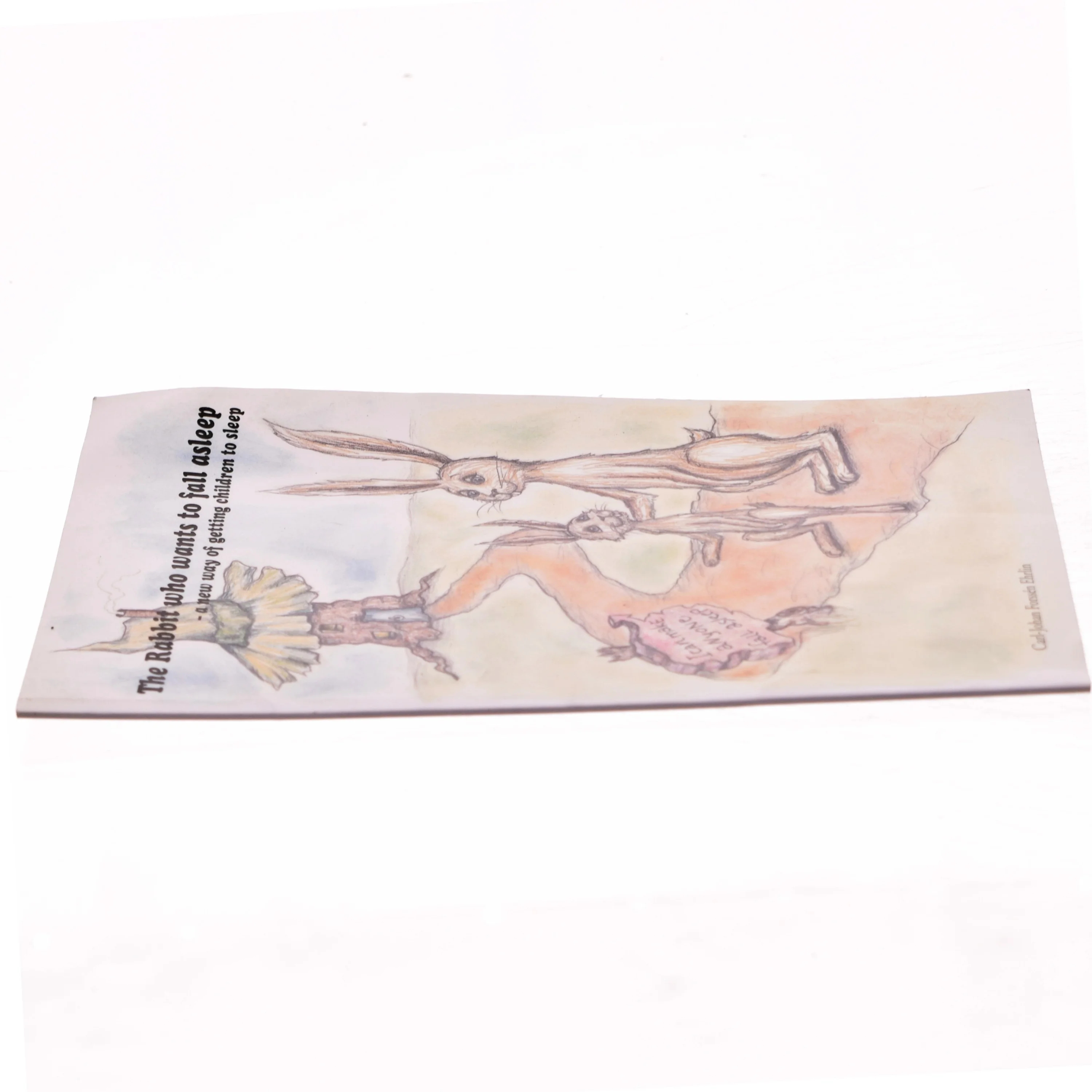 The rabbit who wants to fall asleep : a new way of getting children to sleep af Carl-Johan Forssén Ehrlin (Bog)