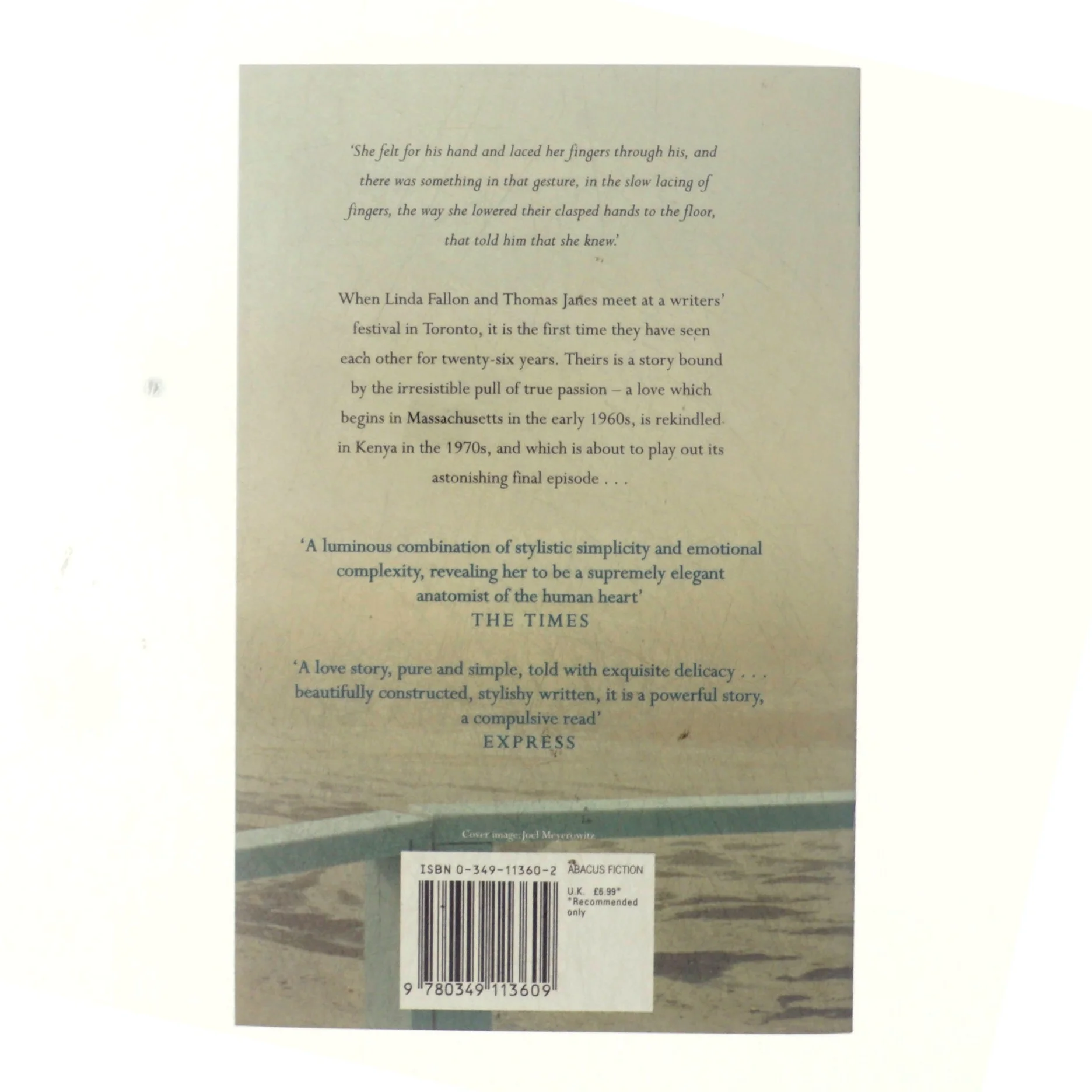 The Last Time They Met (eBook) af Shreve, Anita (Bog)