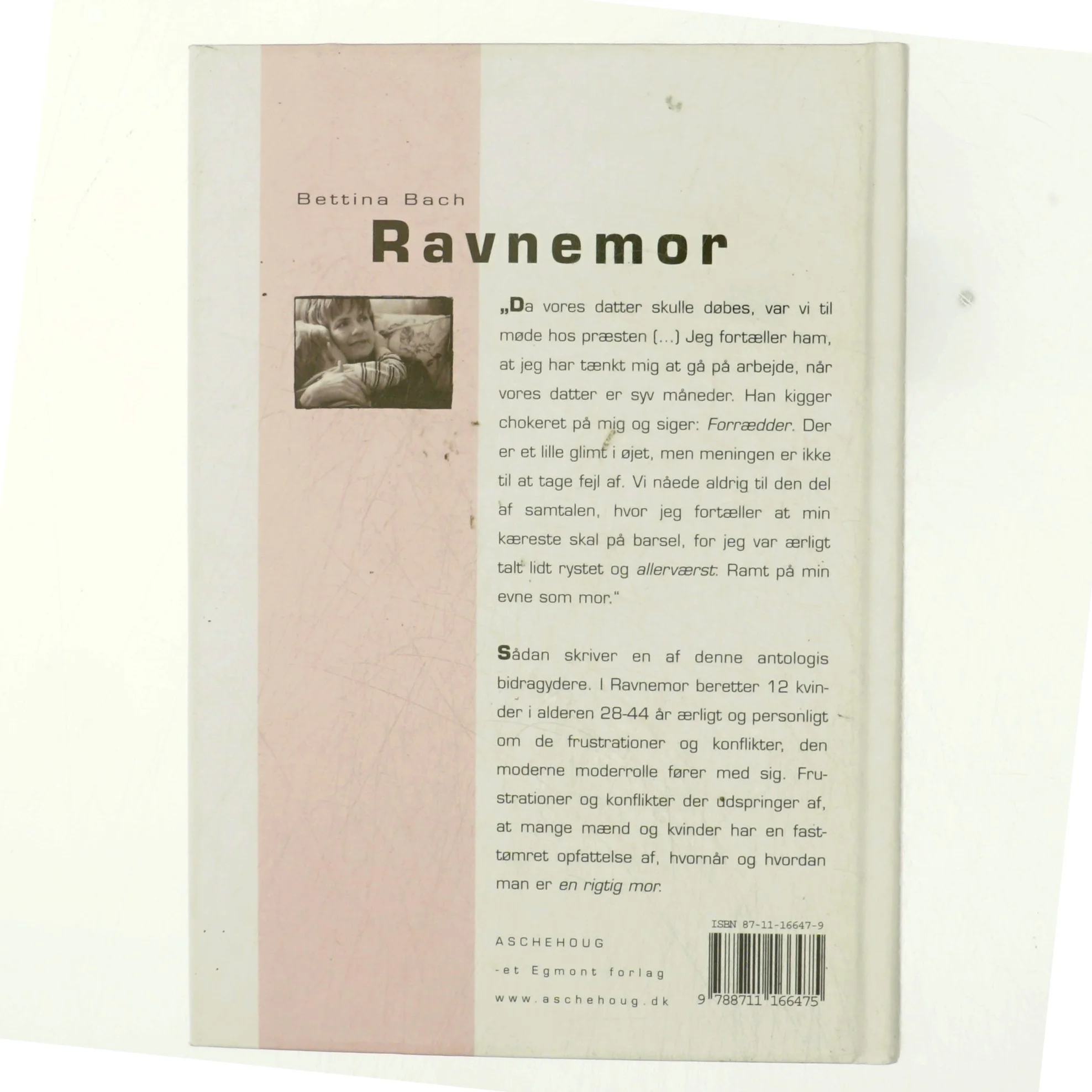 Ravnemor : 12 beretninger om moderskab og arbejdsliv af Bettina Bach (Bog)