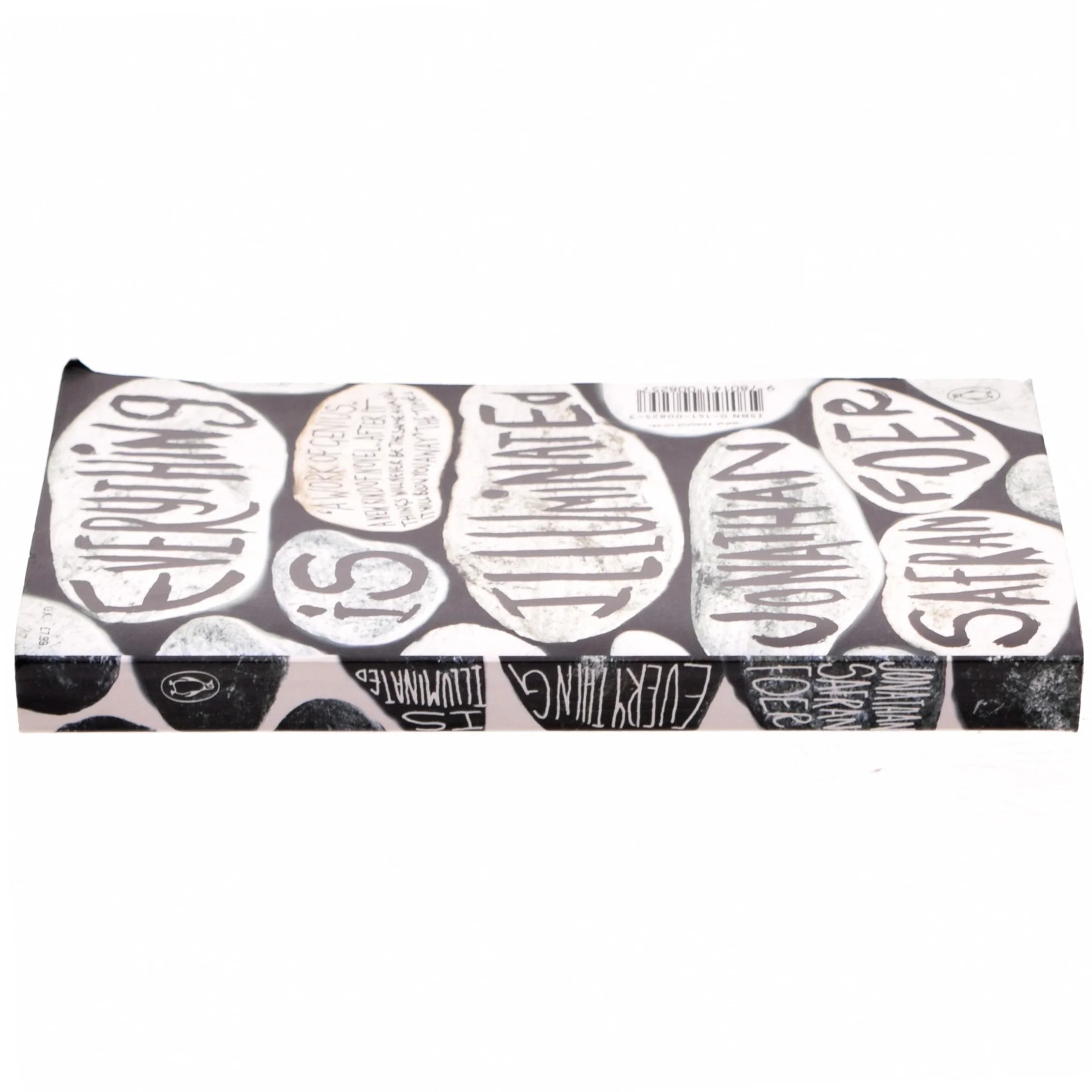 Everything is illuminated : a novel af Jonathan Safran Foer (Bog)