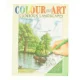 Colour and Art (classic Portaits) (Bog)