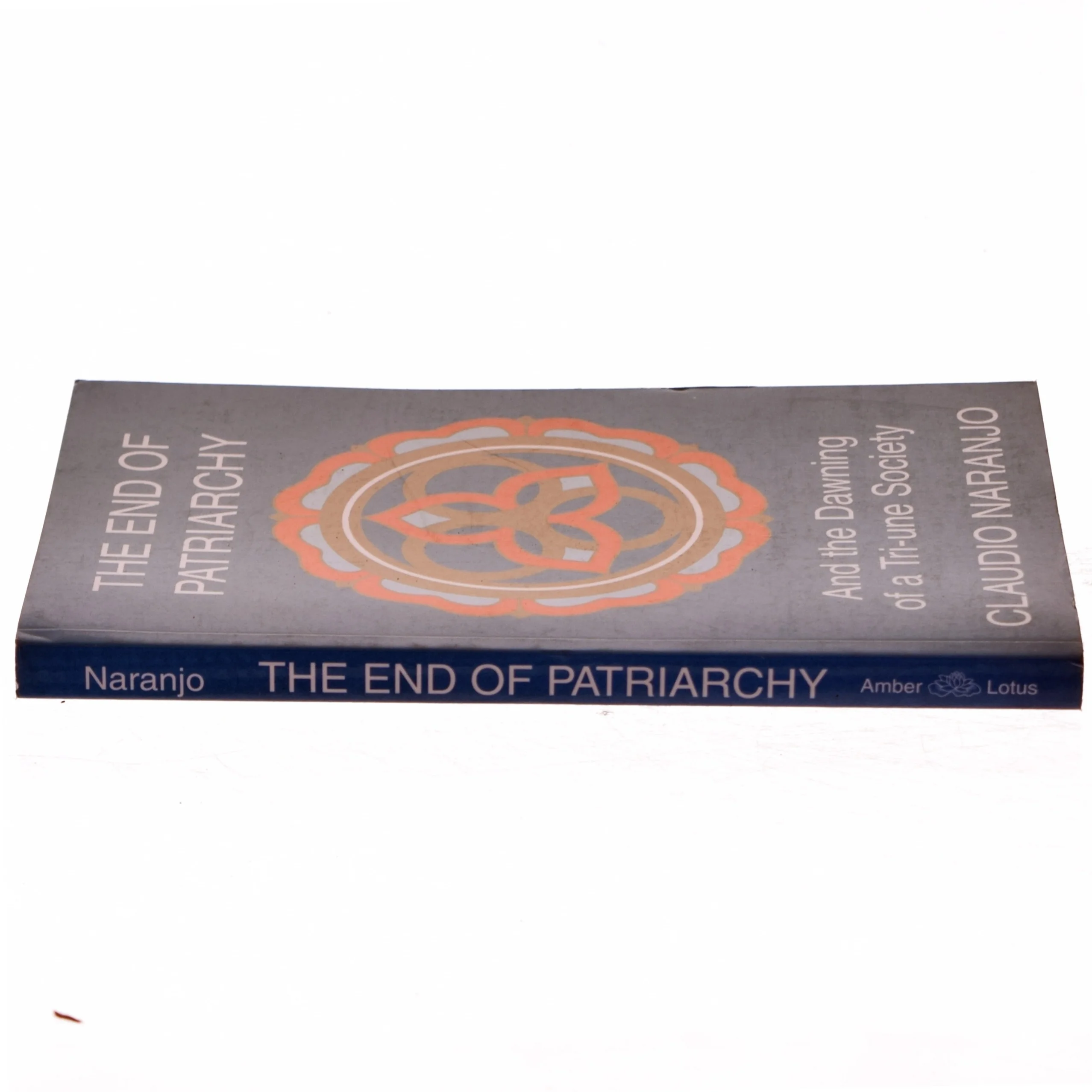 The end of patriarchy and the dawning of a tri-une society af Claudio Naranjo (Bog)