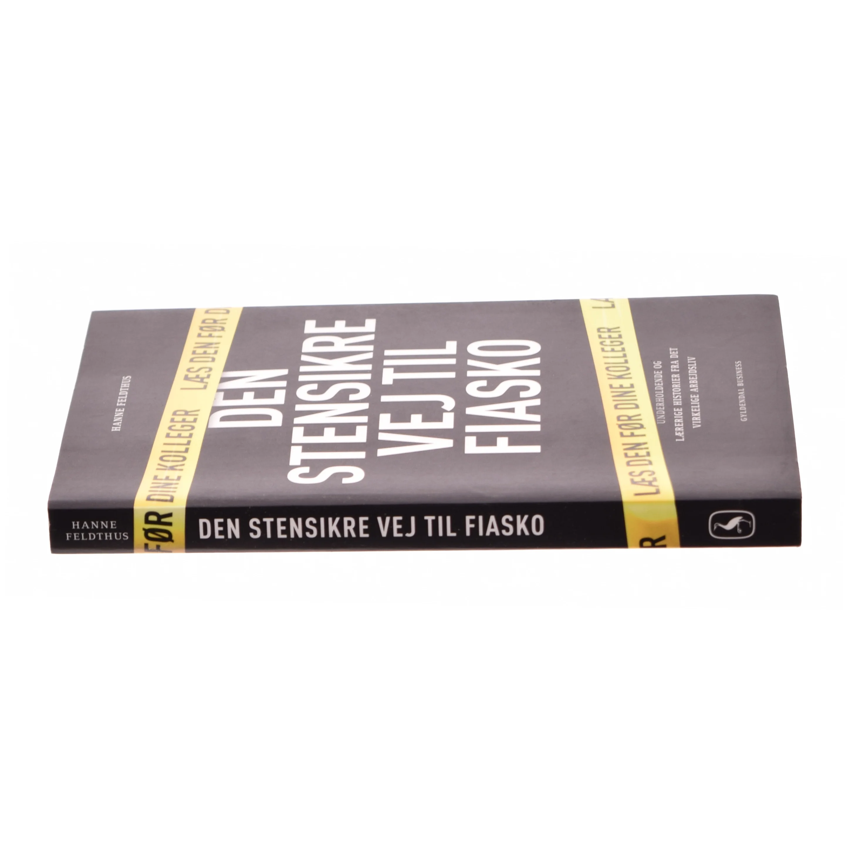 Den stensikre vej til fiasko af Hanne Feldthus (Bog)