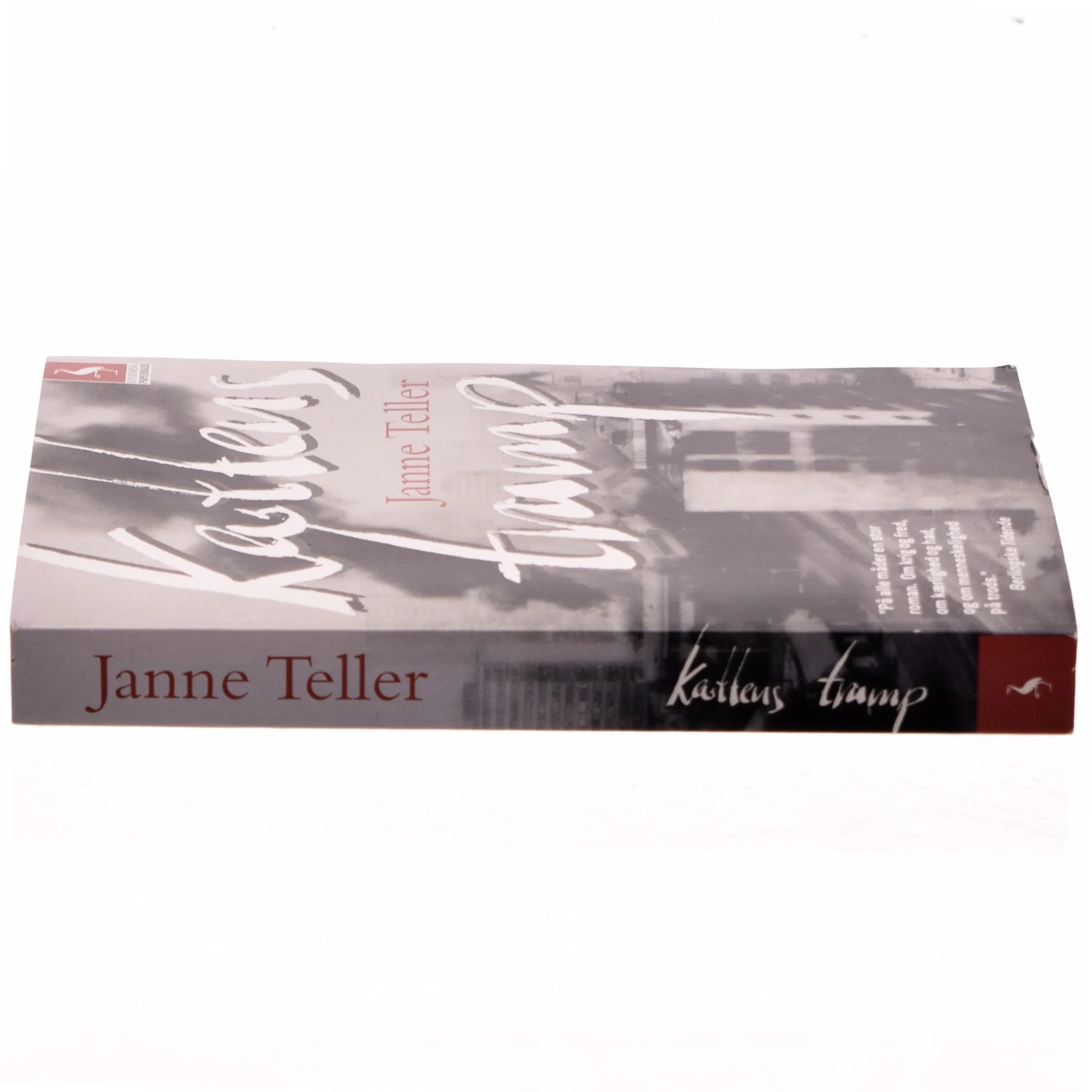 Kattens tramp : roman af Janne Teller (Bog)