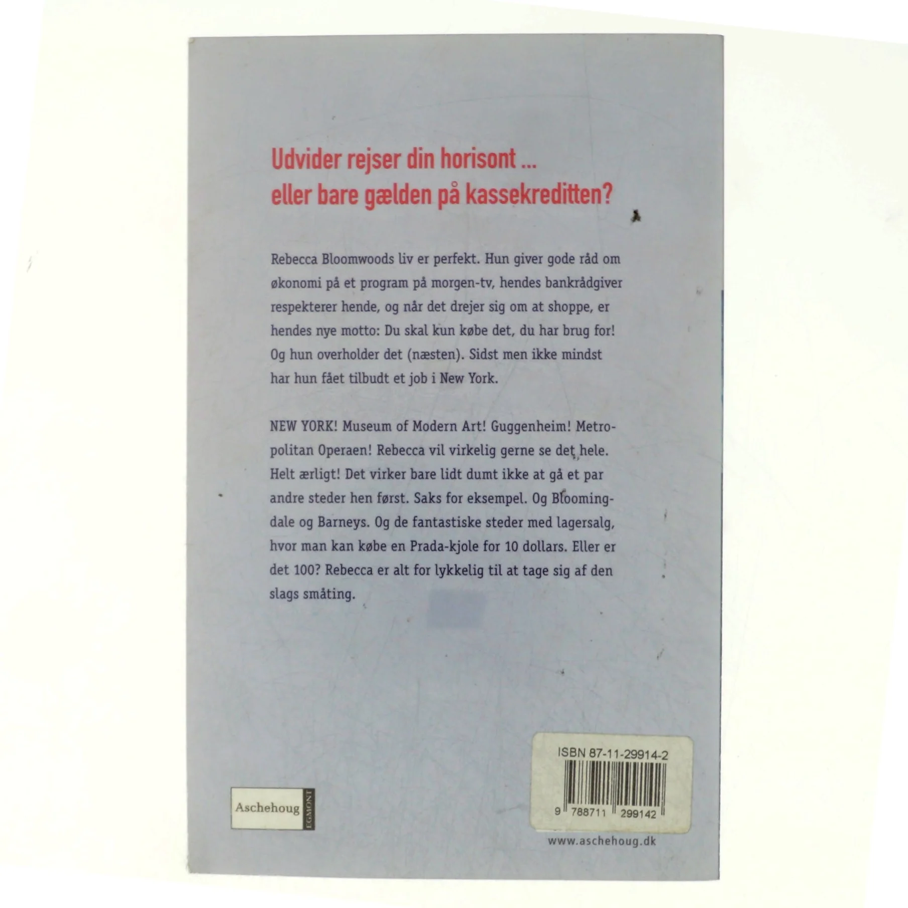 En shopaholic i New York af Sophie Kinsella (Bog)