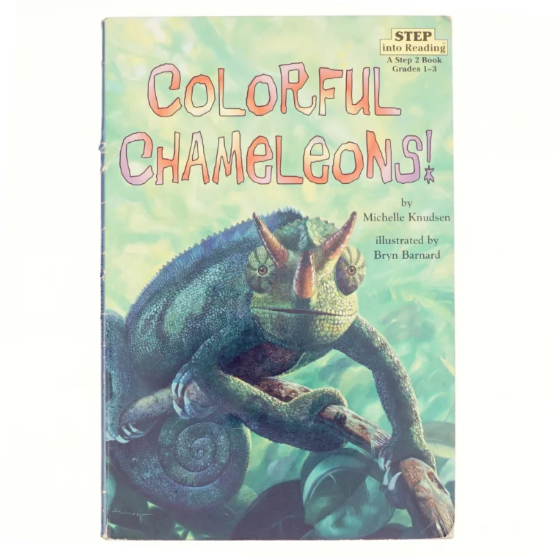 Colorful chameleons!