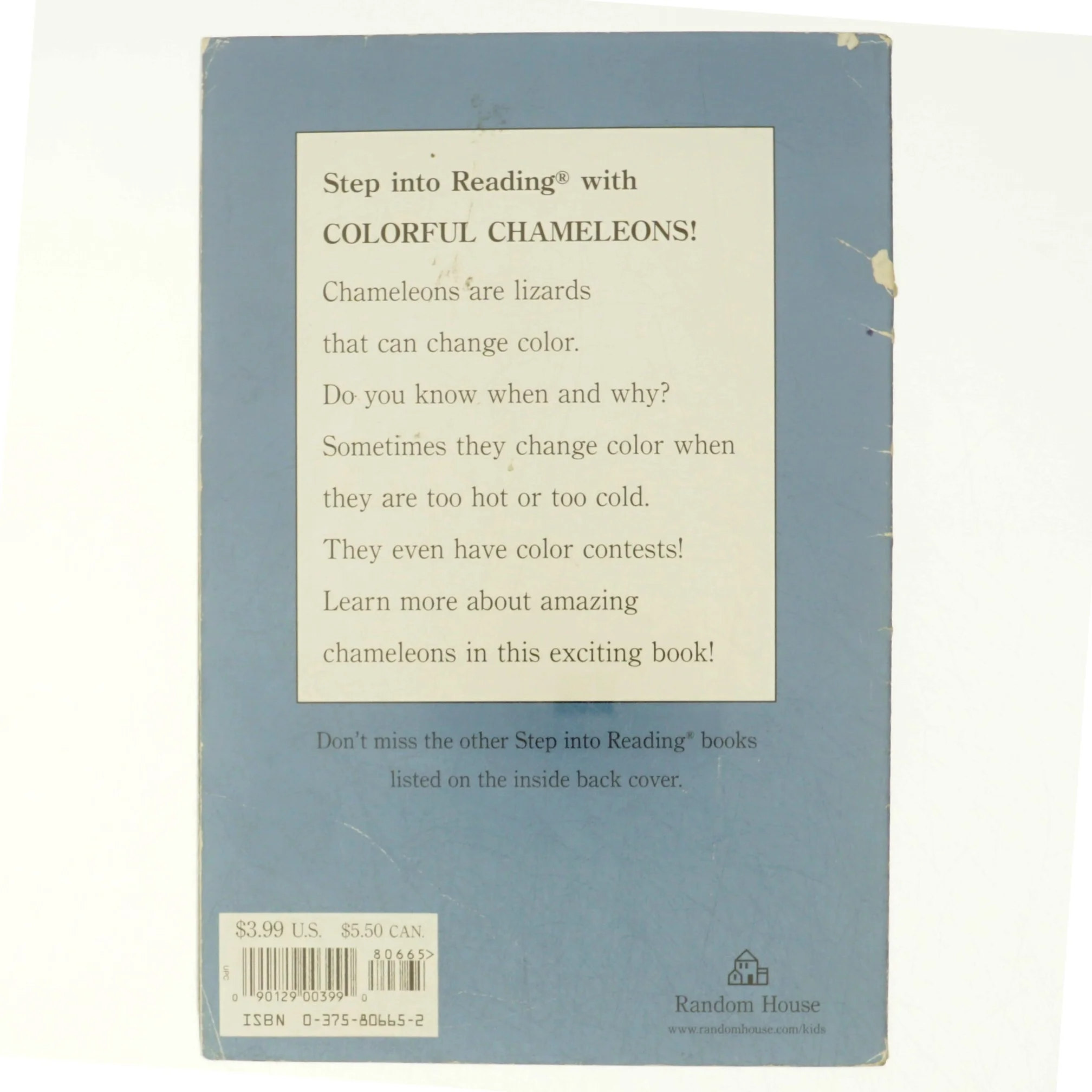 Colorful chameleons!