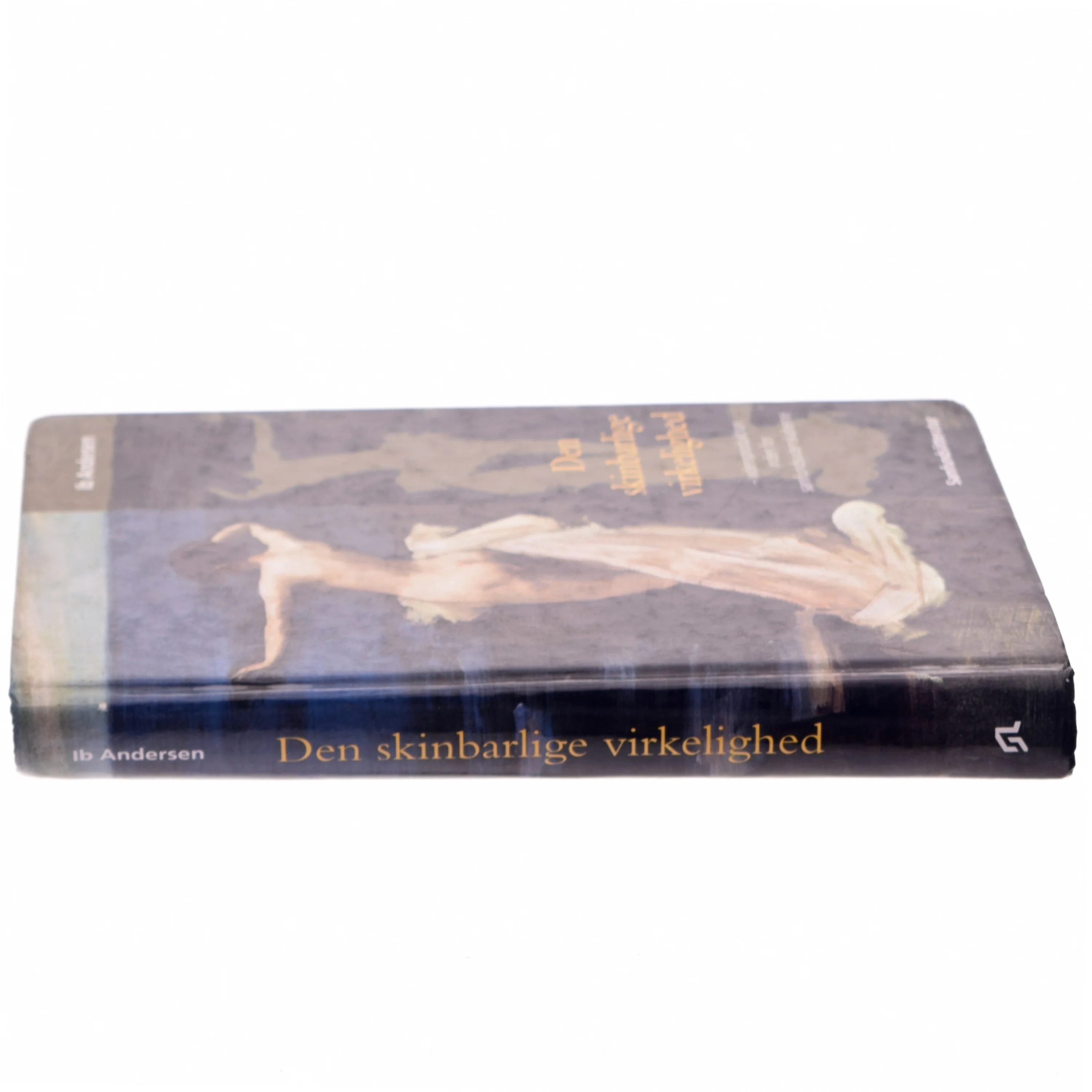 Den skinbarlige virkelighed : om vidensproduktion inden for samfundsvidenskaberne af Ib Andersen (f. 1943) (Bog)