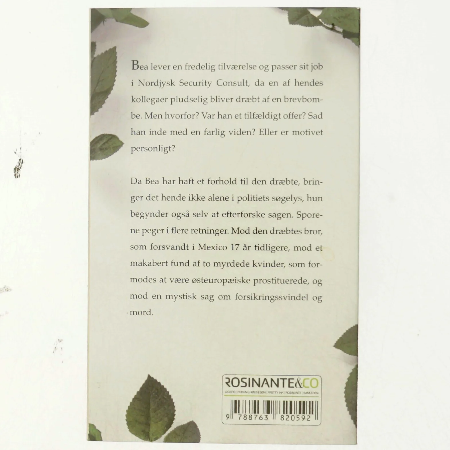 Sin Brors Vogter af Kirsten Holst (Bog)