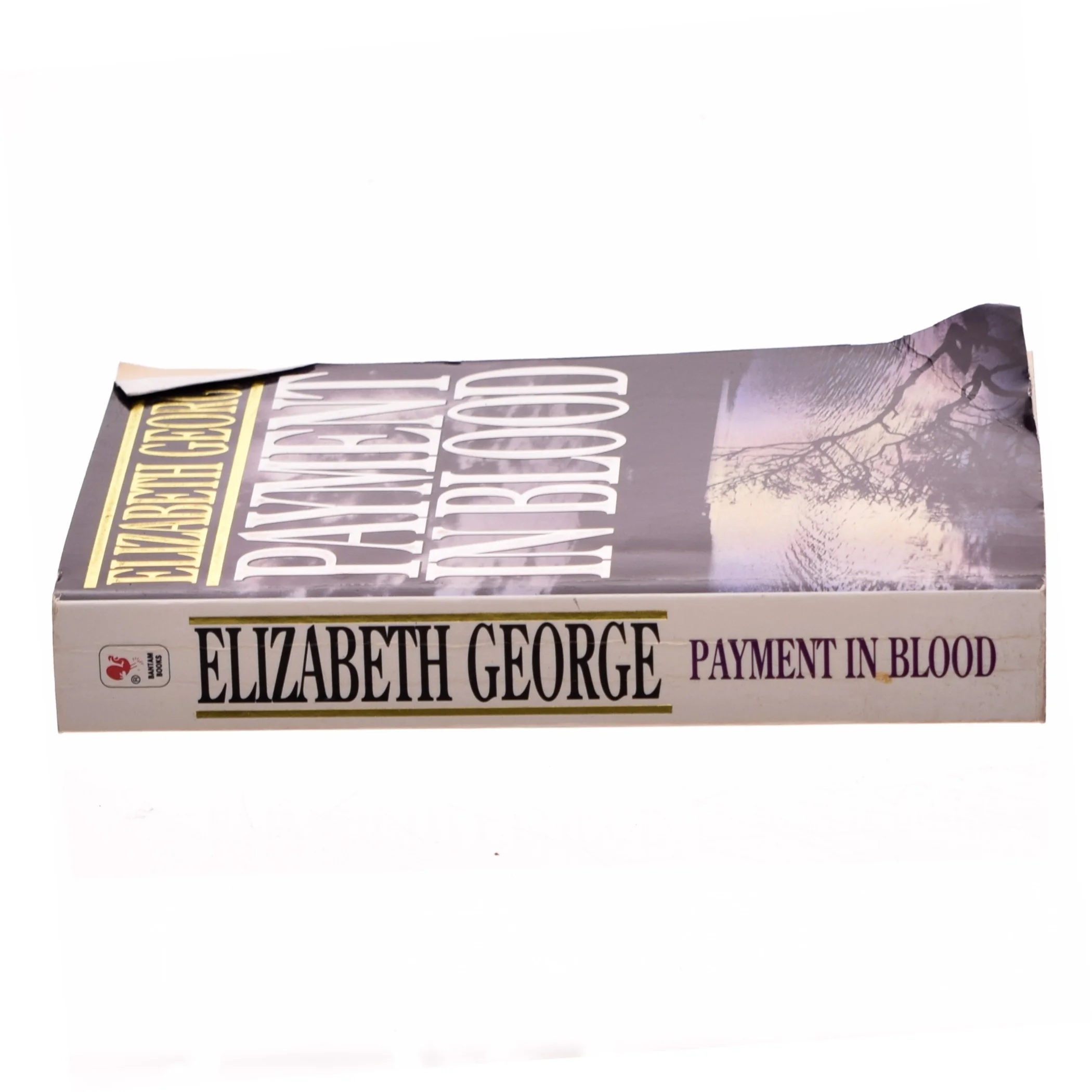 Payment in blood (381 sider) af Elizabeth George (Bog)