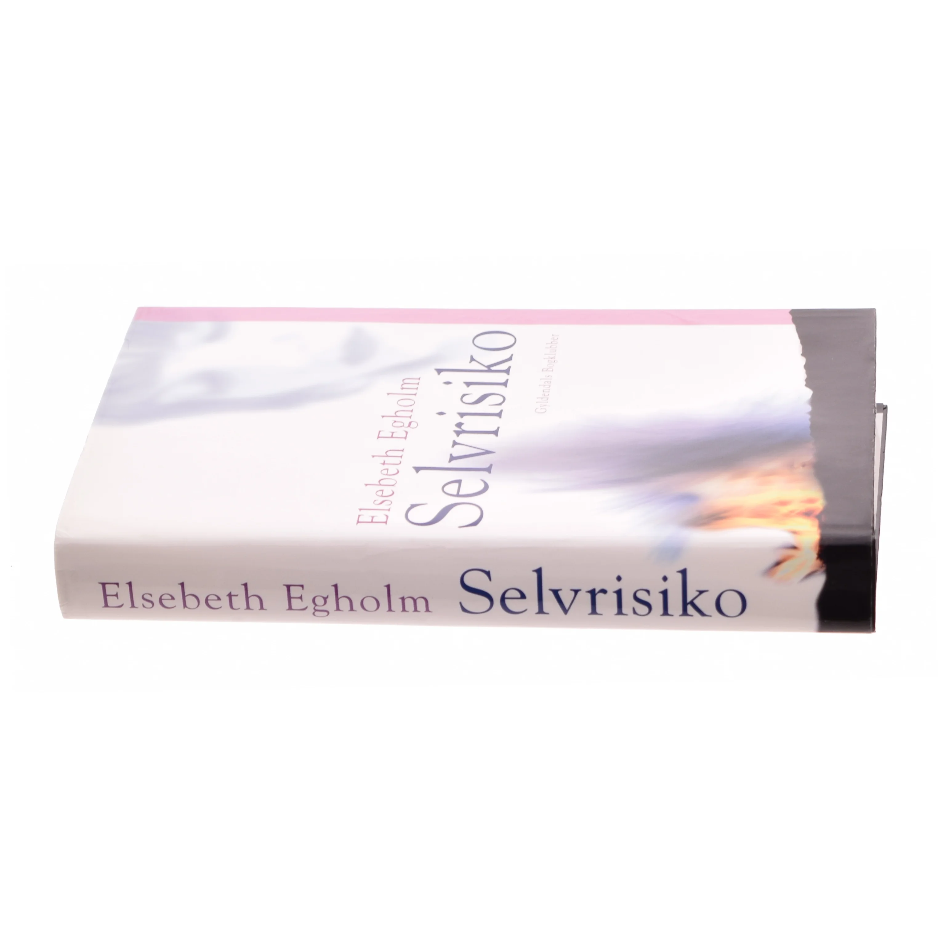 Selvrisiko af Elsebeth Egholm (Bog)