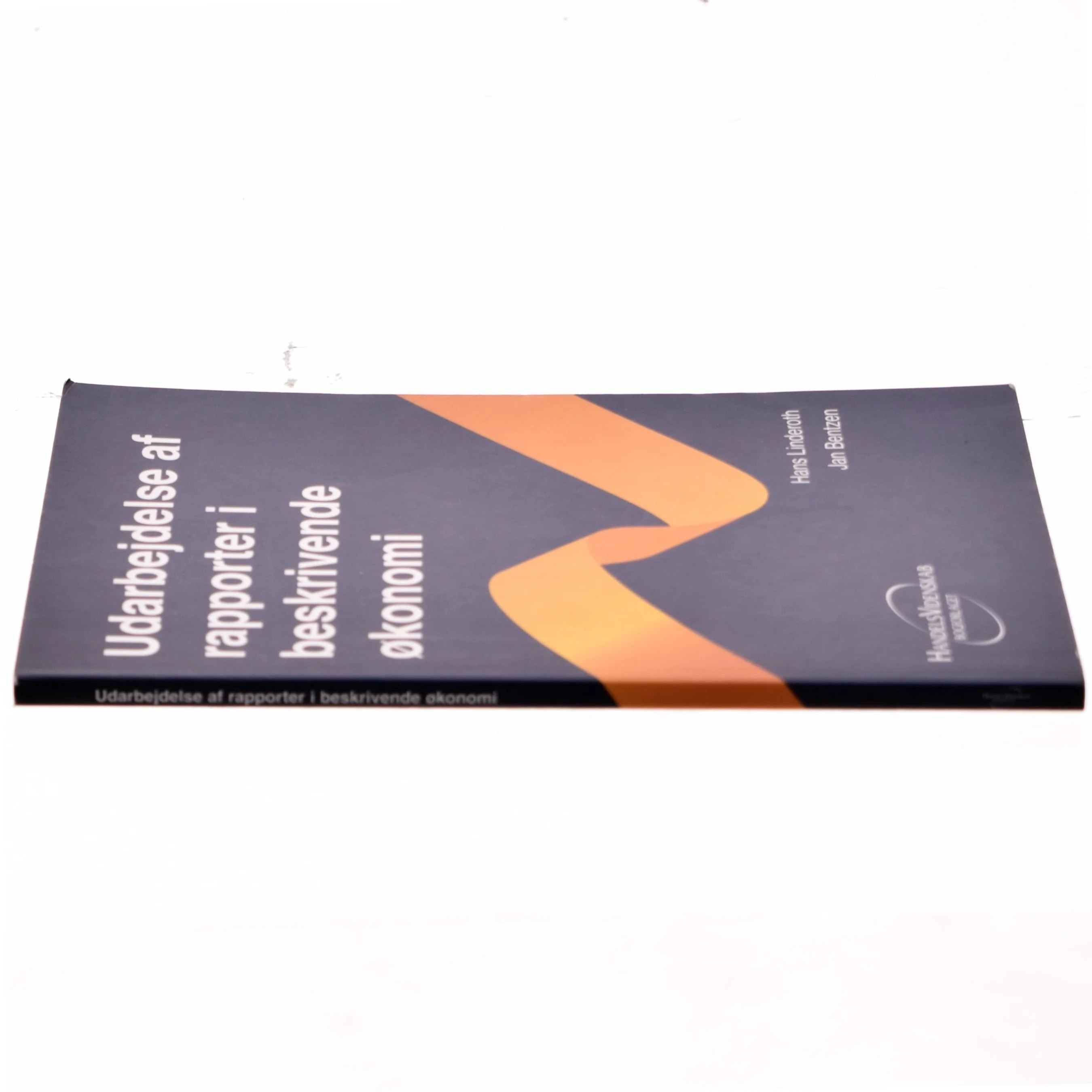 Udarbejdelse af rapporter i beskrivende økonomi (Bog)
