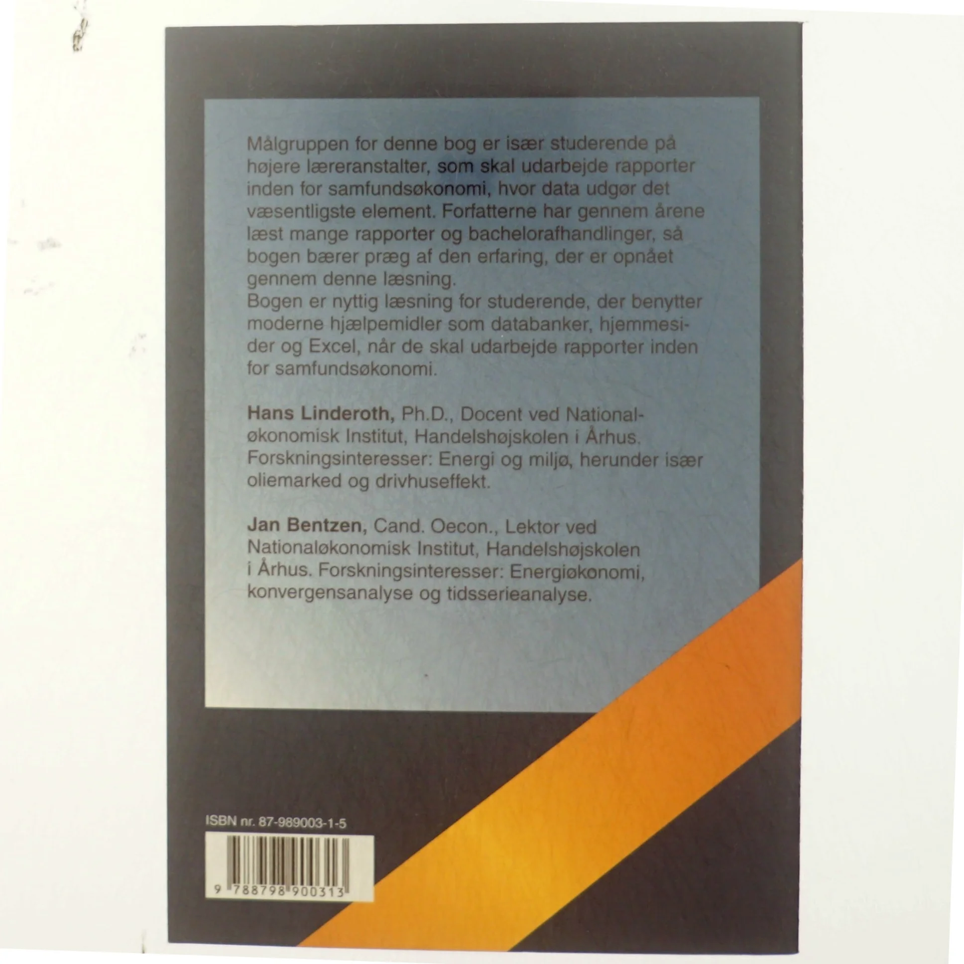 Udarbejdelse af rapporter i beskrivende økonomi (Bog)