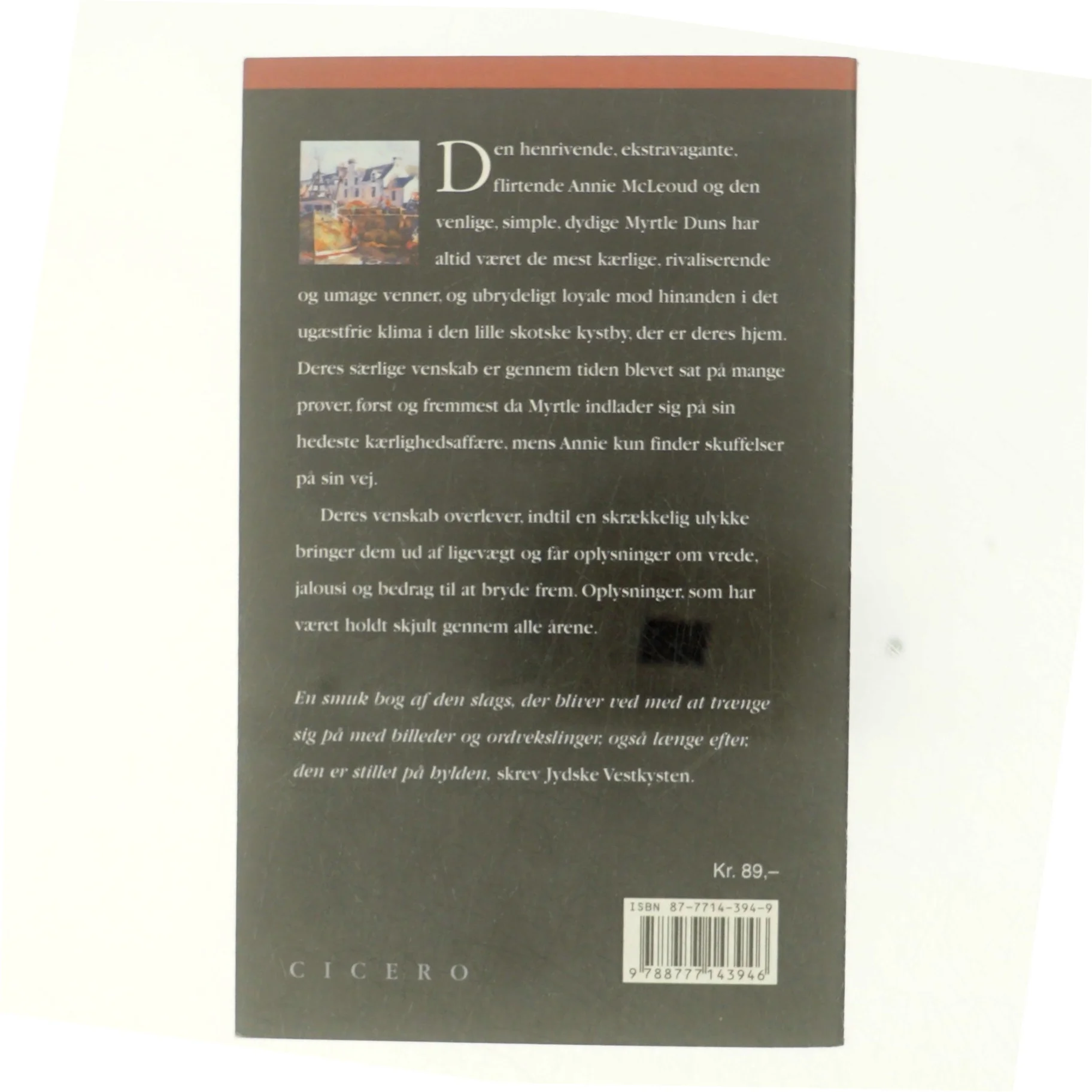 Viet til havet af Angela Huth (Bog)