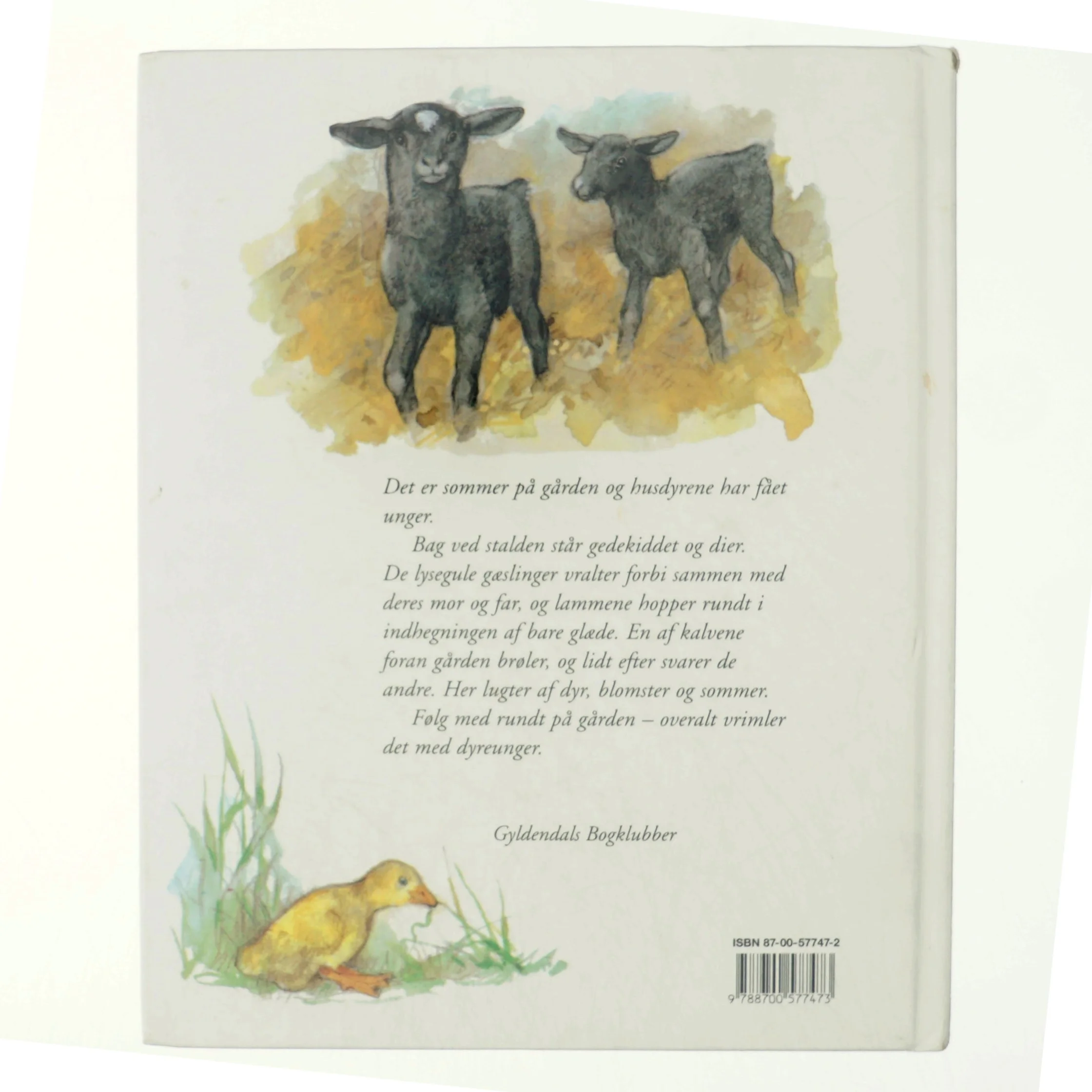 Dyreunger på gården (Bog)