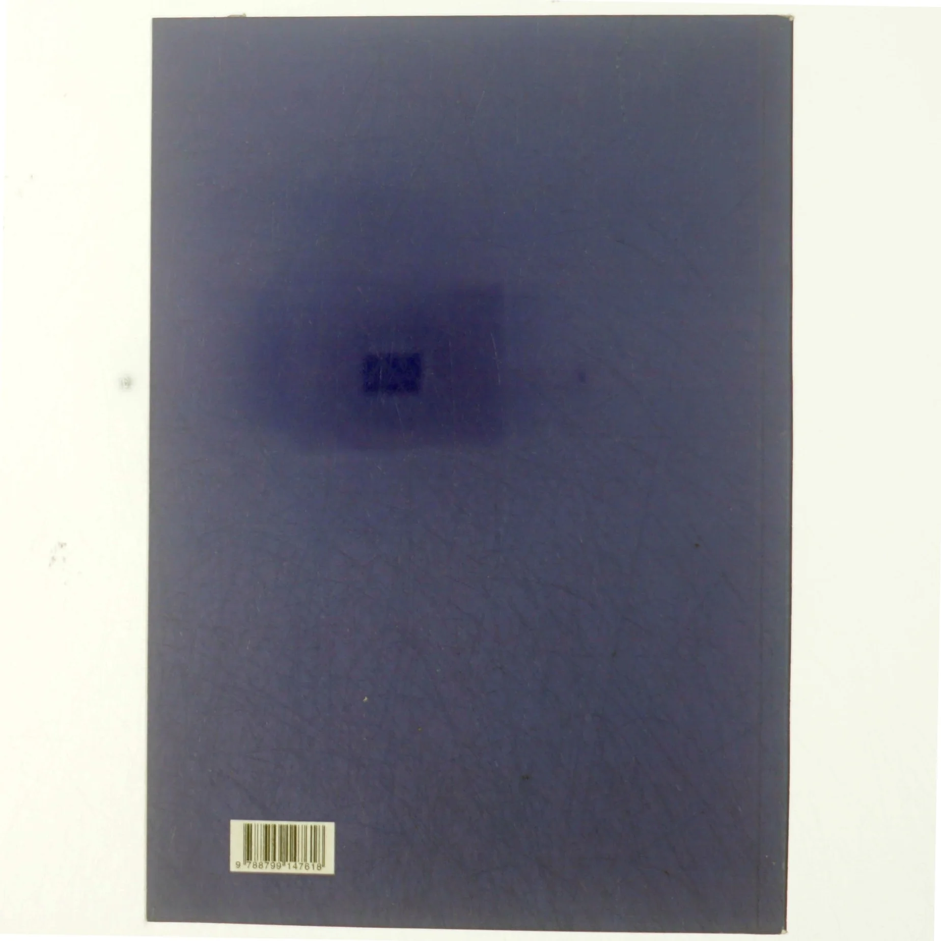 A path to the universe of Alba (Bog)