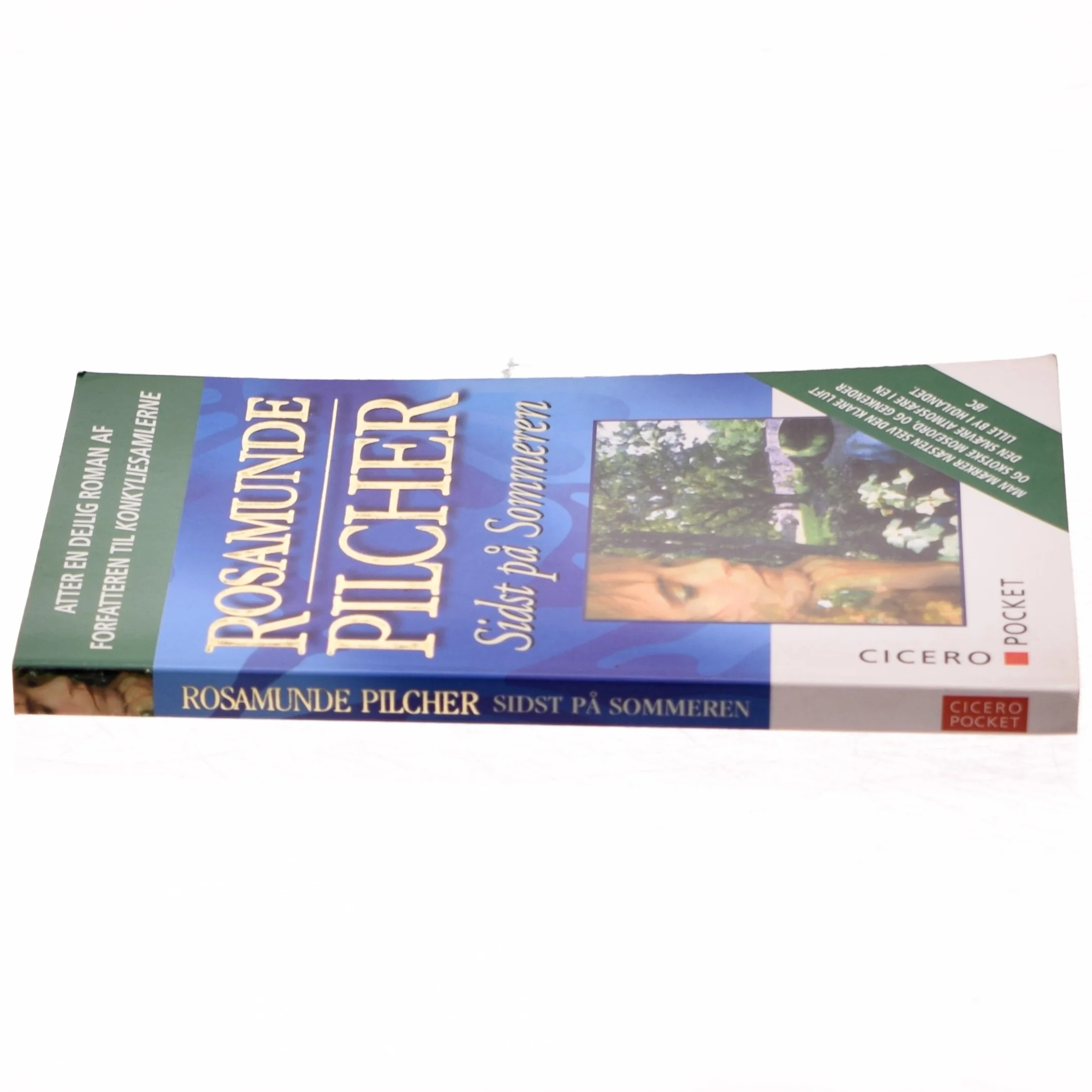 Sidst på sommeren af Rosamunde Pilcher (Bog)