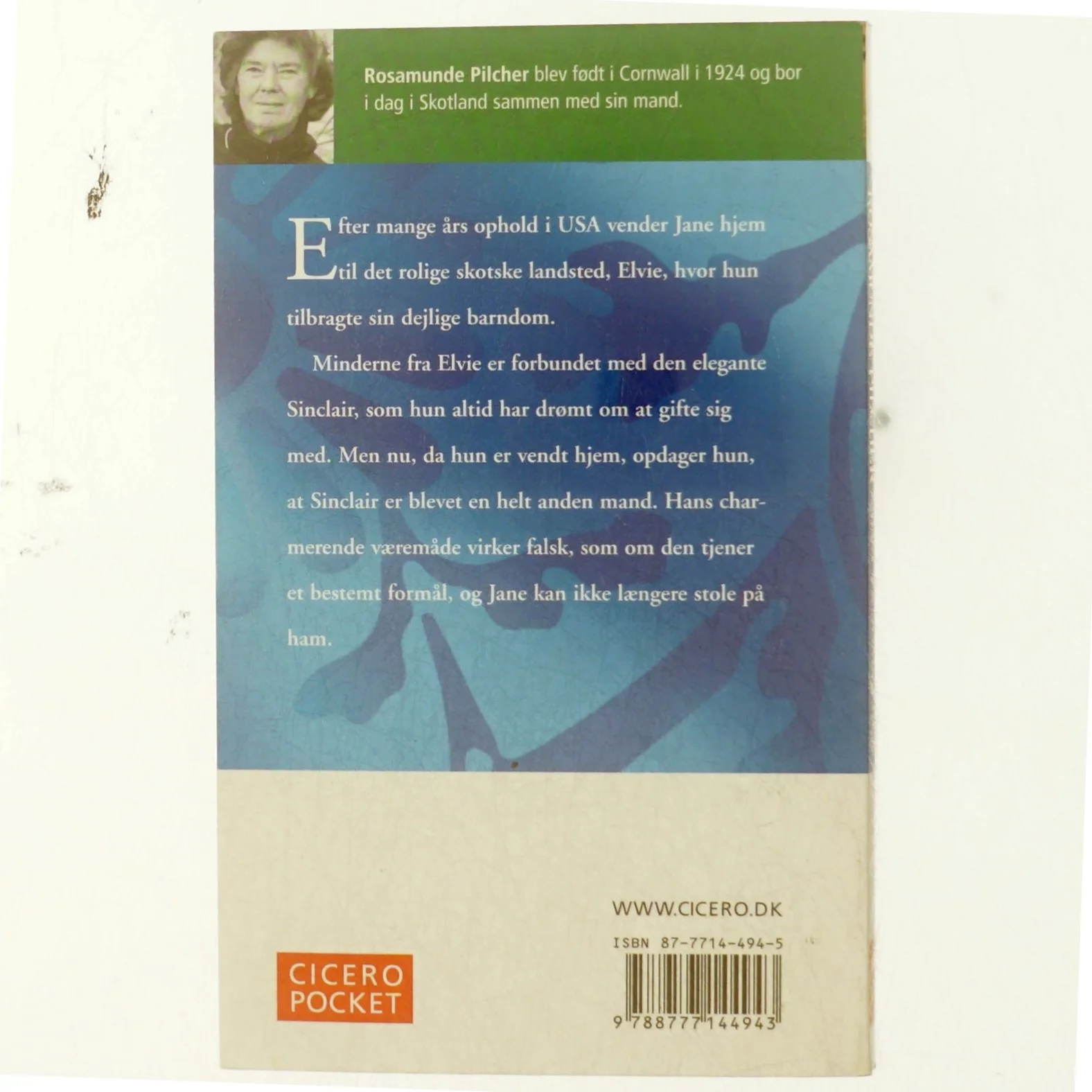 Sidst på sommeren af Rosamunde Pilcher (Bog)