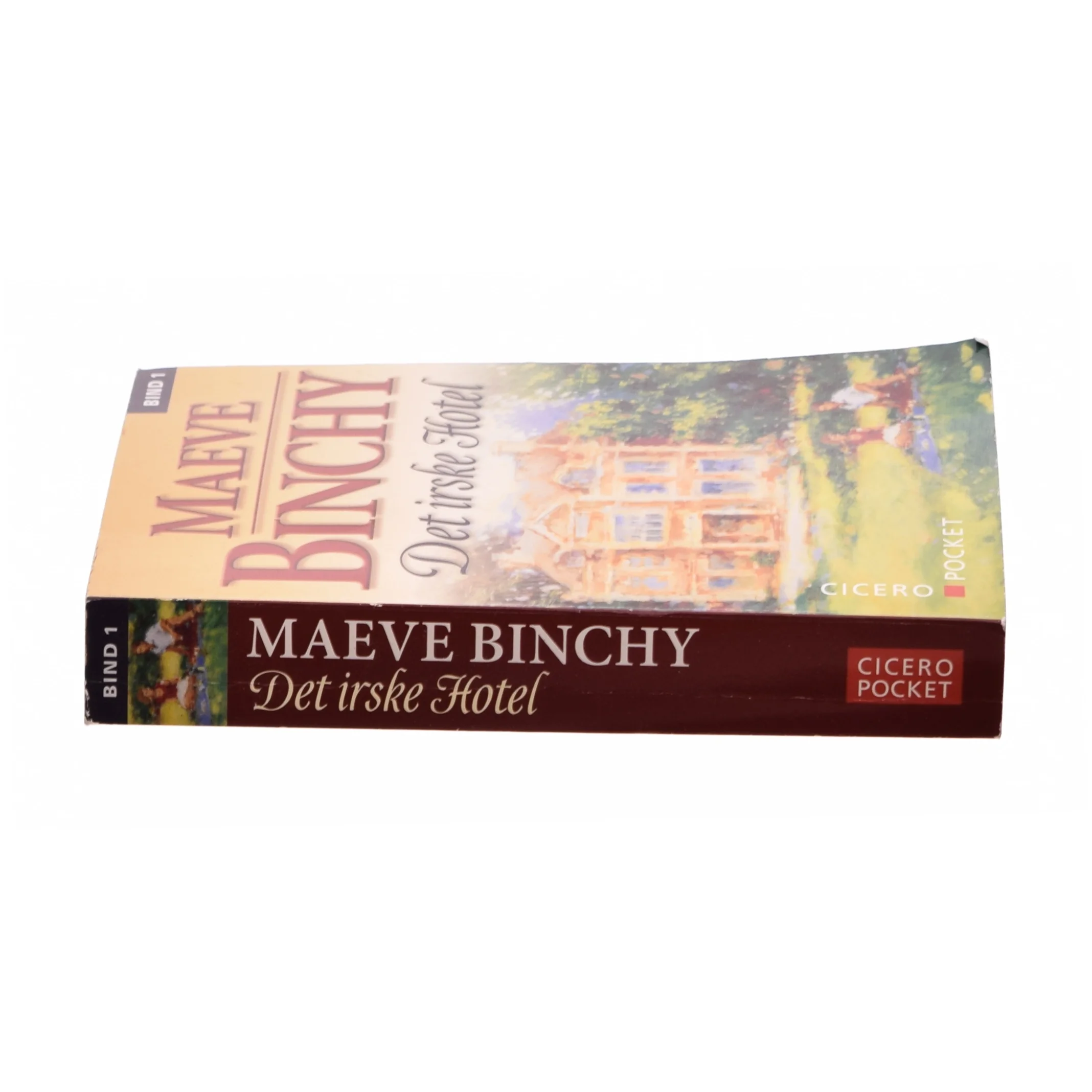 Det irske hotel af Maeve Binchy fra Bog