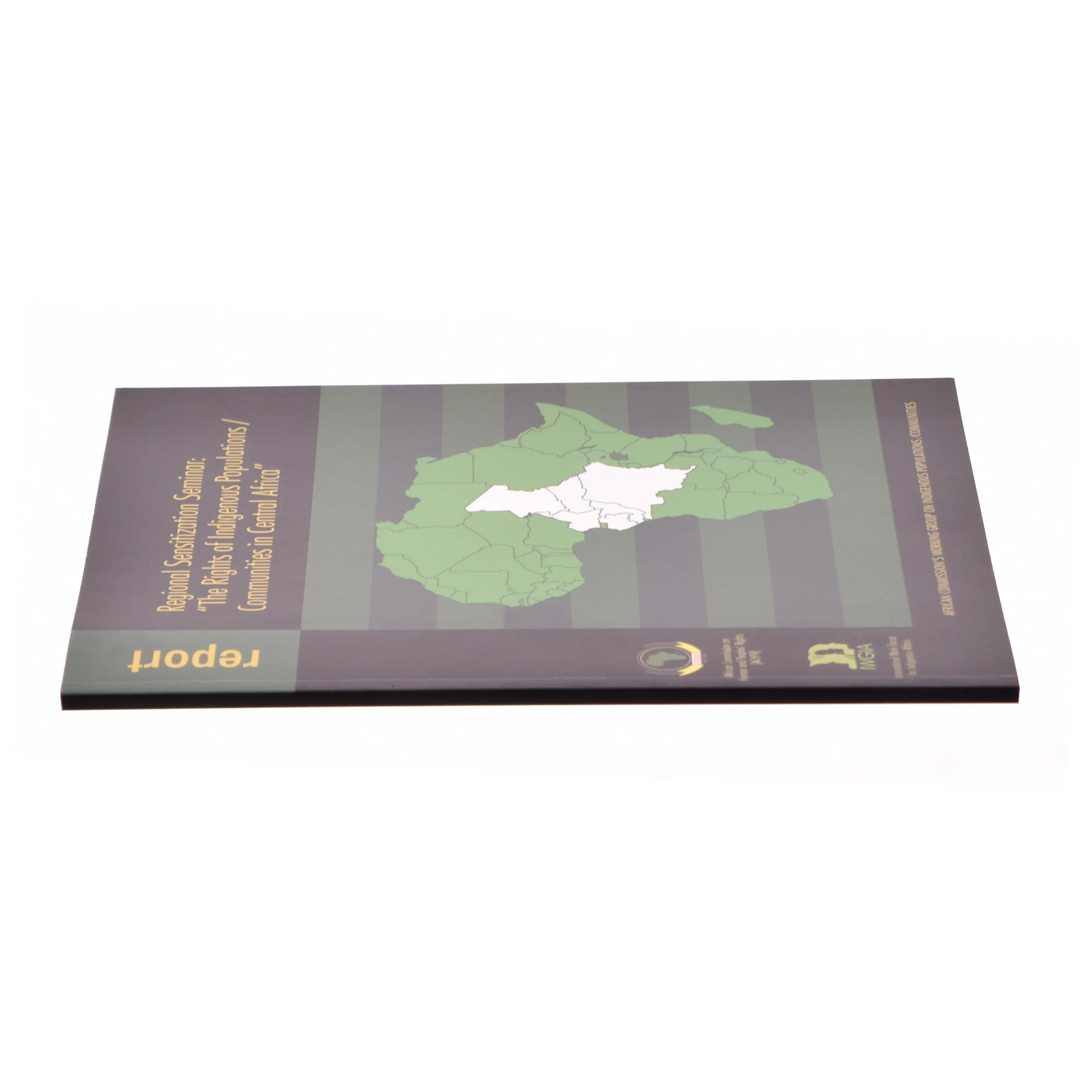 Regional sensitization seminar: The rights of indigenous populations (bog)