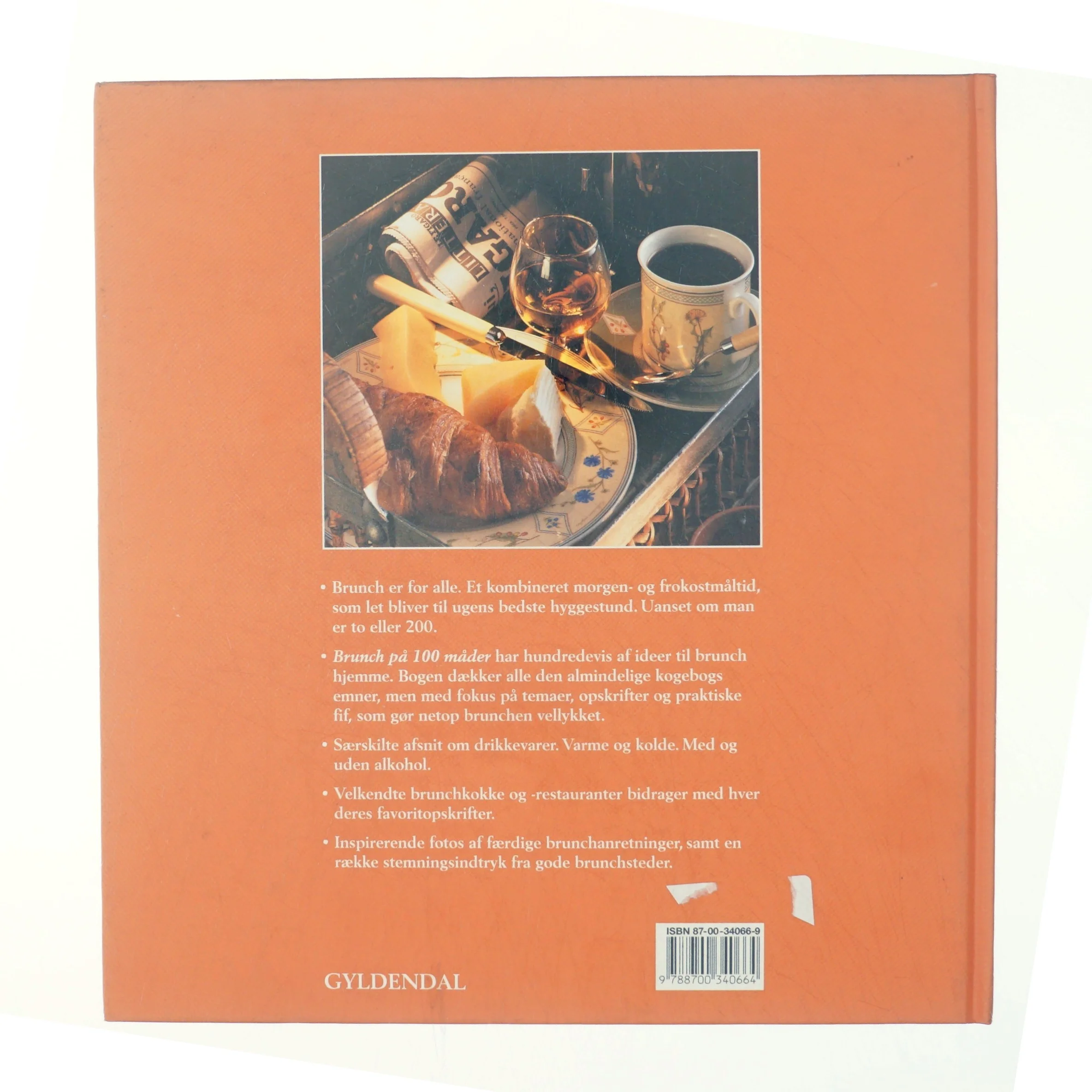 Brunch på 100 måder af Lynn Andersen (f. 1945) (Bog)