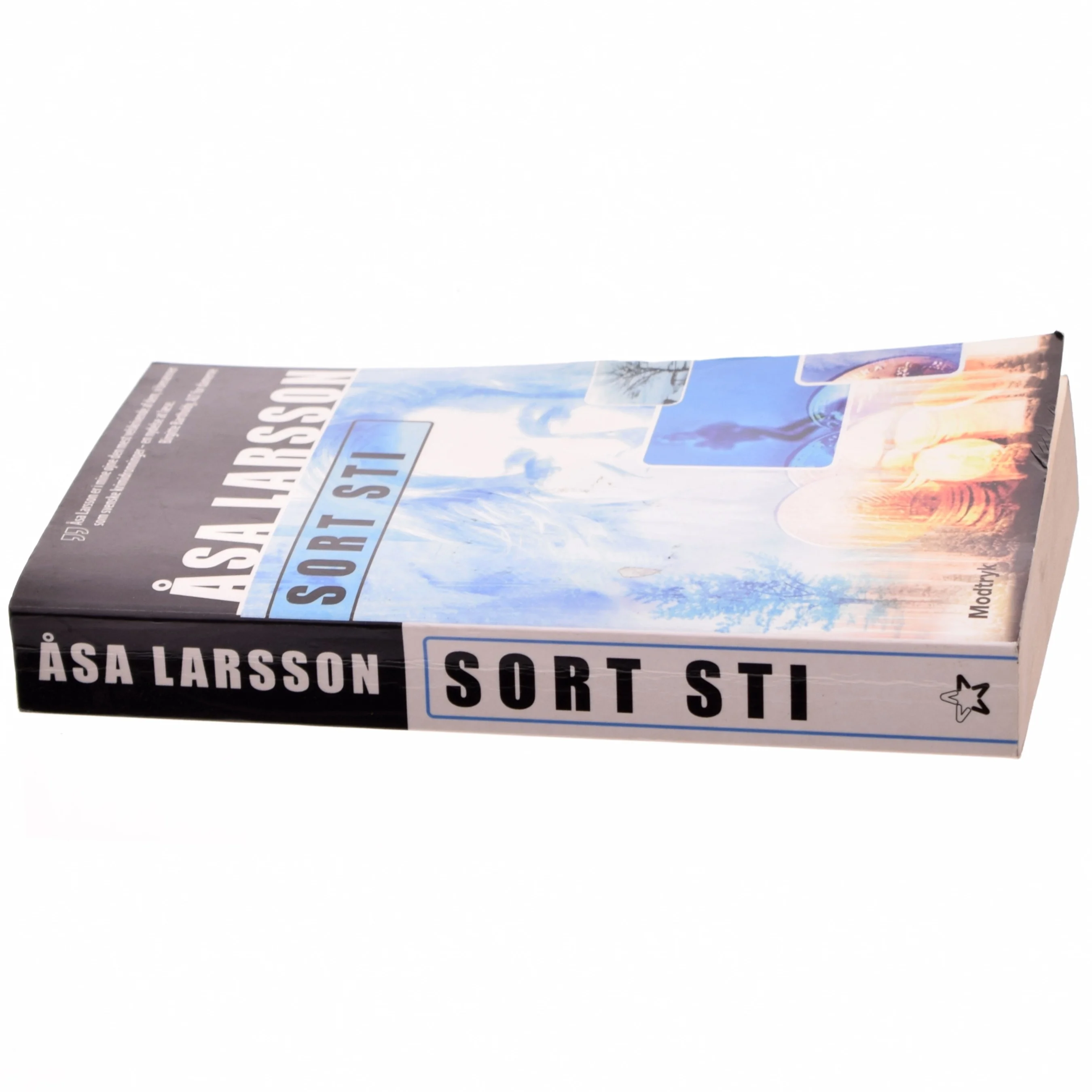 Sort sti af Åsa Larsson (Bog)