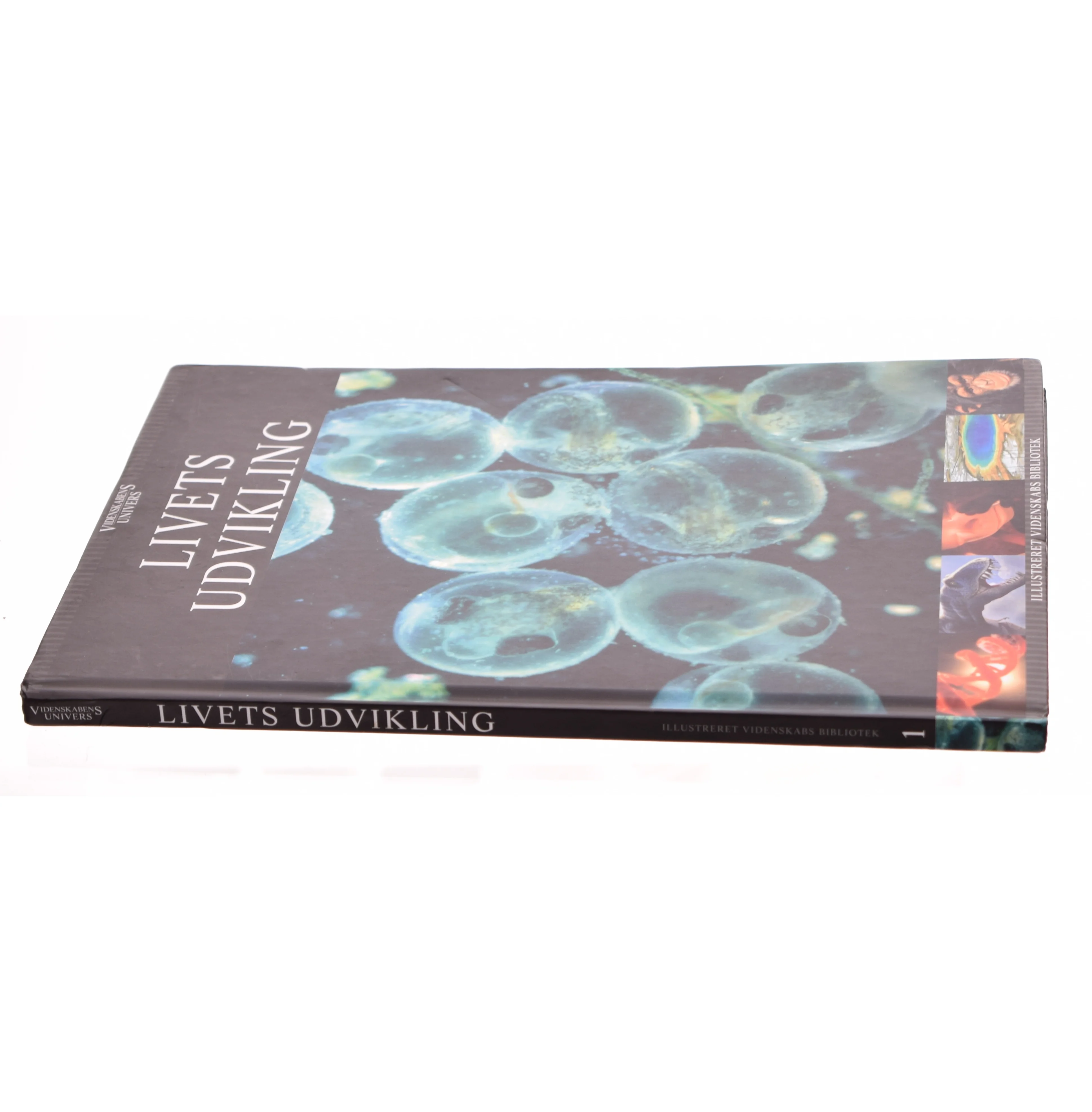 Livets udvikling (Bog)