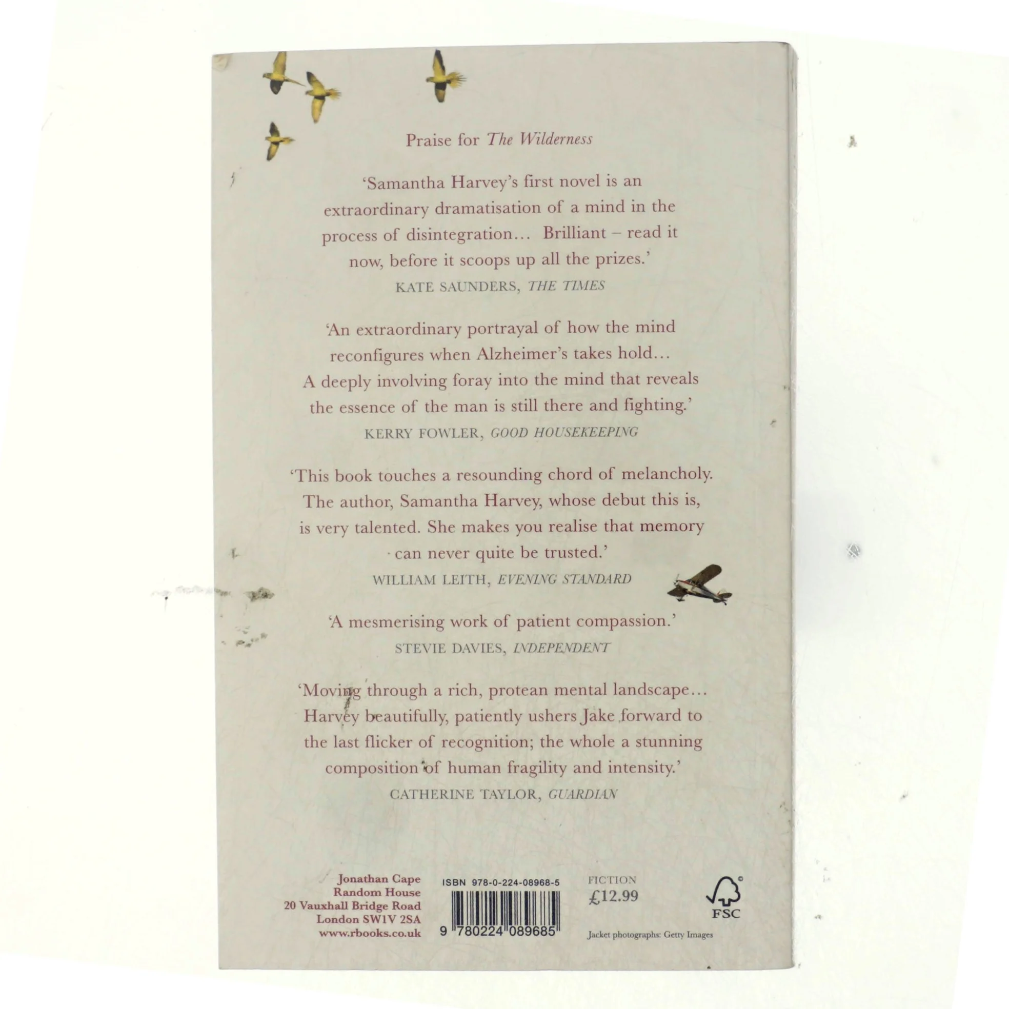 The wilderness af Samantha Harvey (Bog)