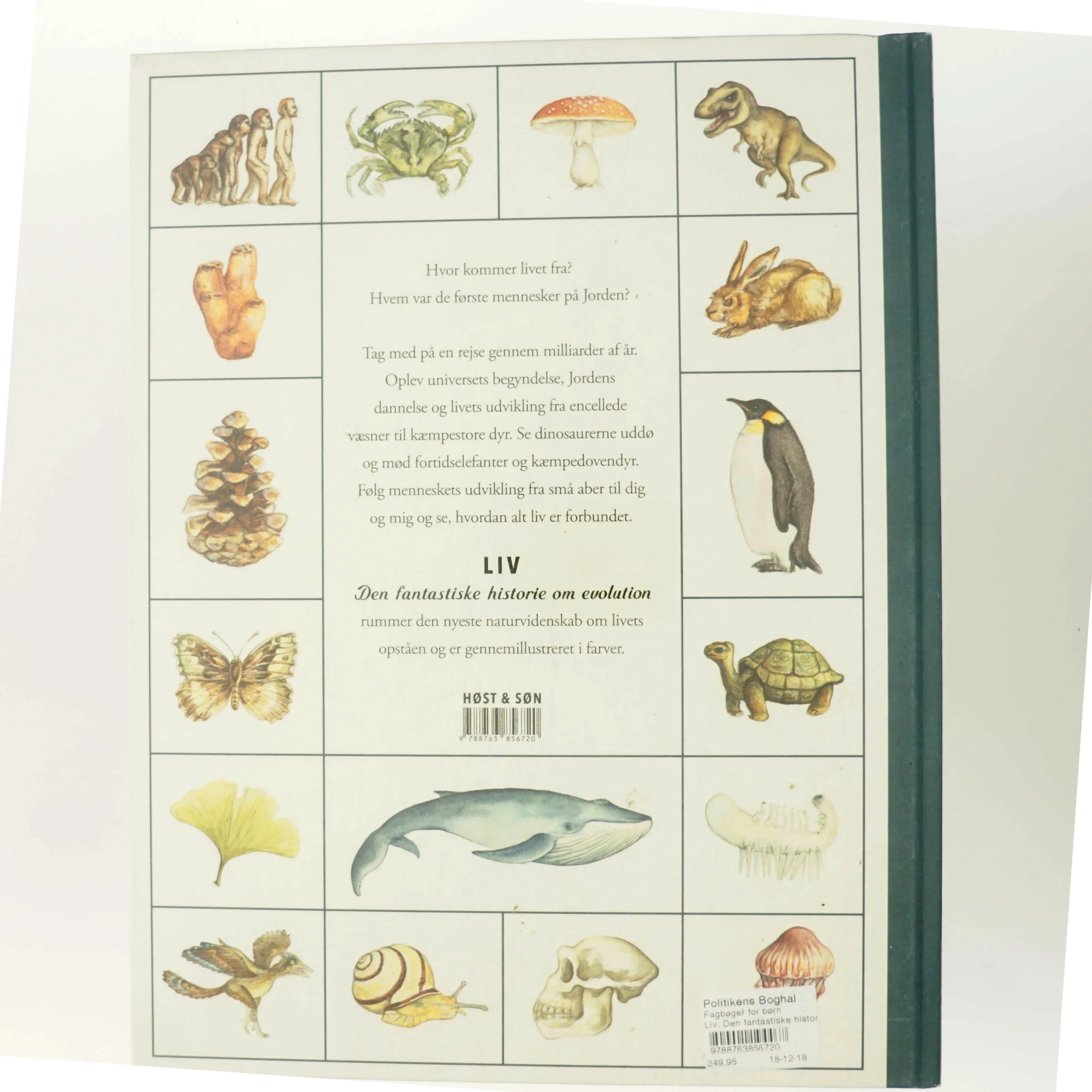 NY Liv - den fantastiske historie om evolution (Bog)