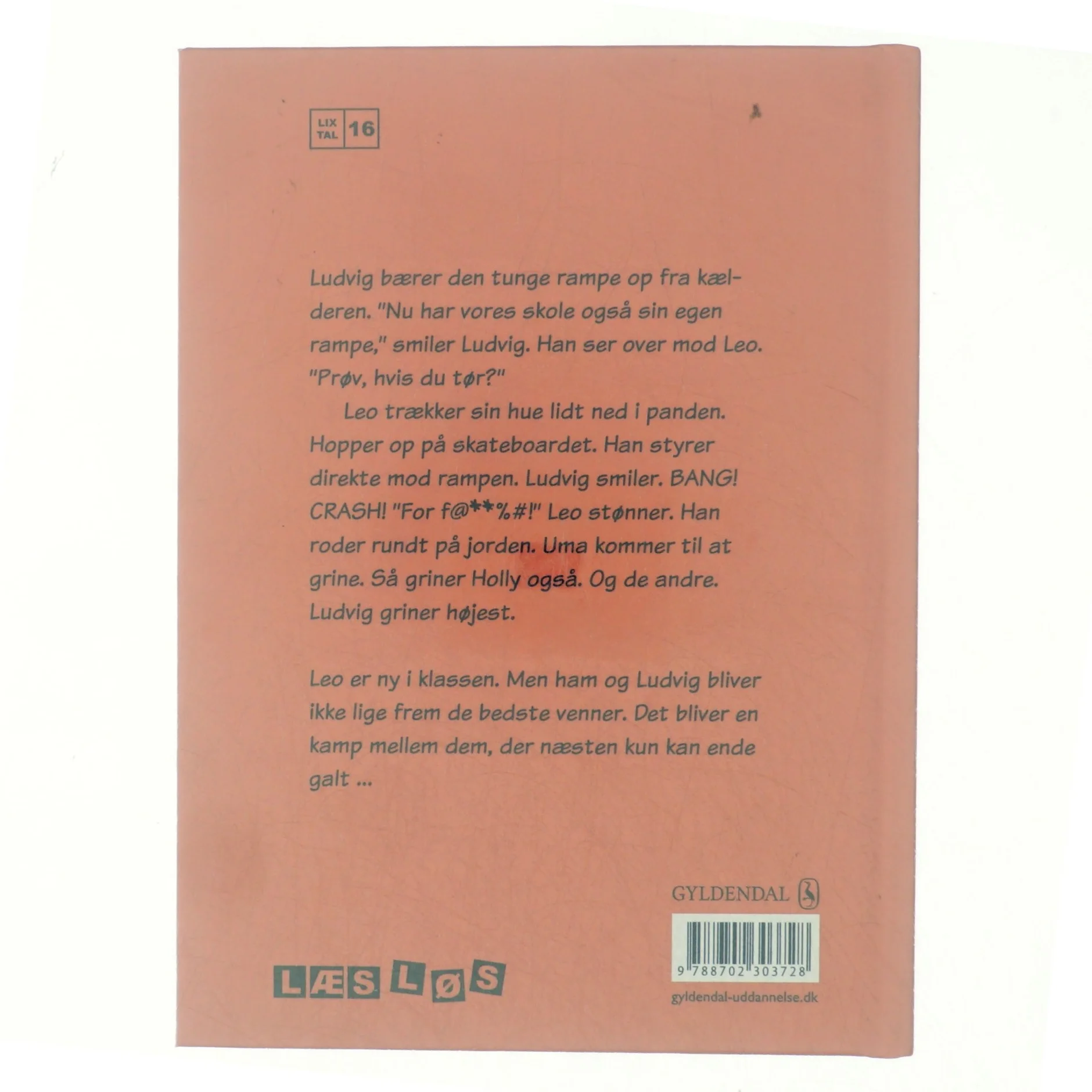 NY Ludvig og Leo brænder skolen ned af Palle Schmidt (f. 1972) (Bog)