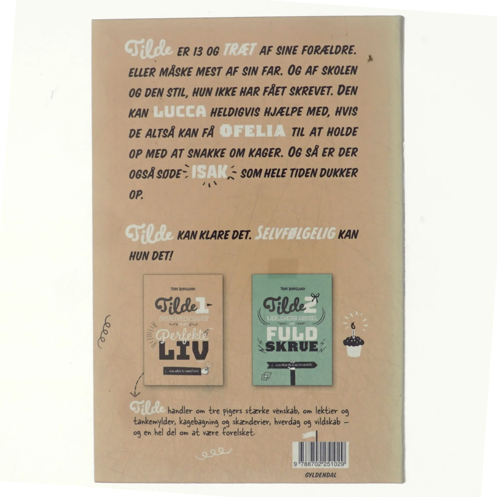 NY Overlevelsesguide til det perfekte liv af Trine Bundsgaard (Bog)