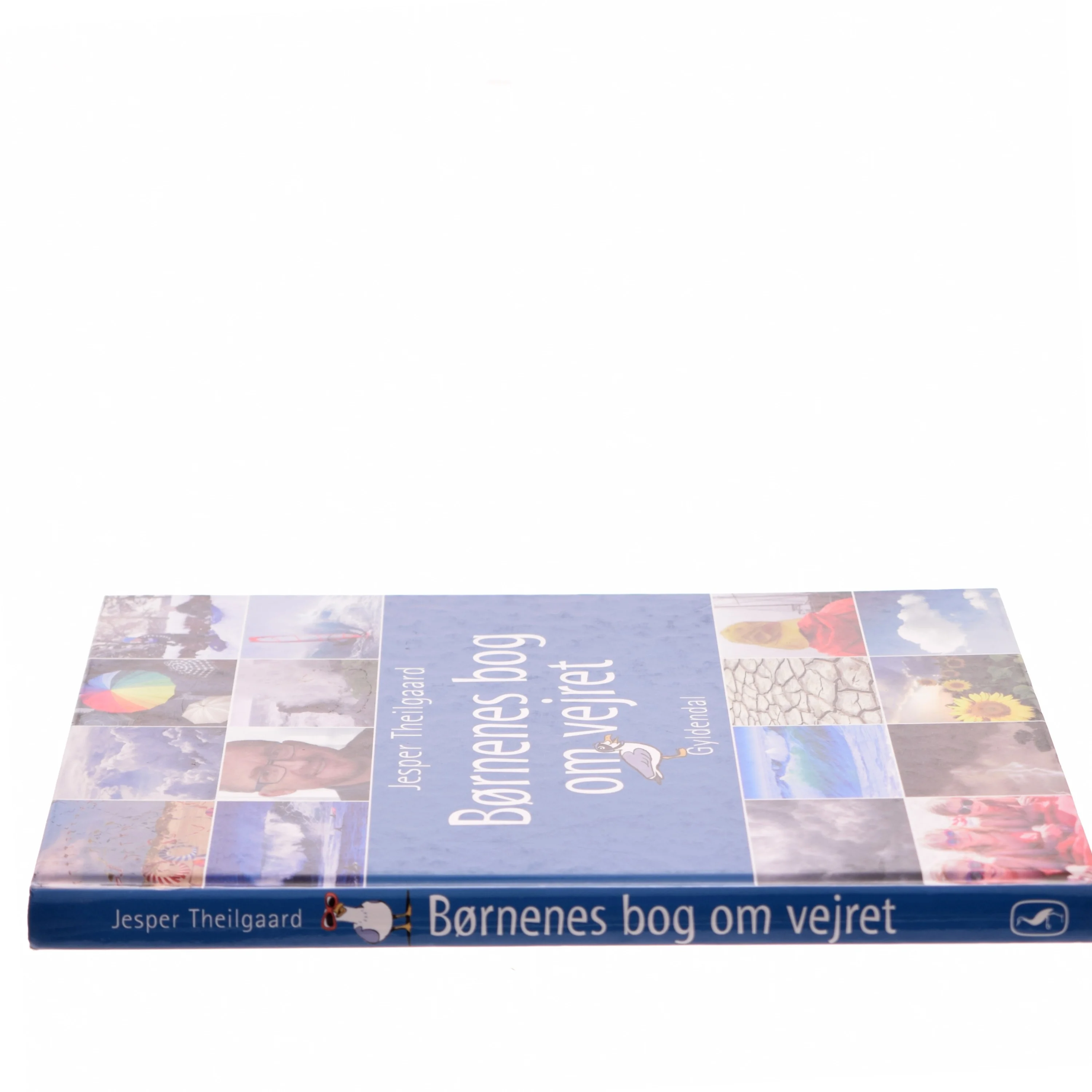 Børnenes bog om verjet af Jesper Theilgaard (Bog)