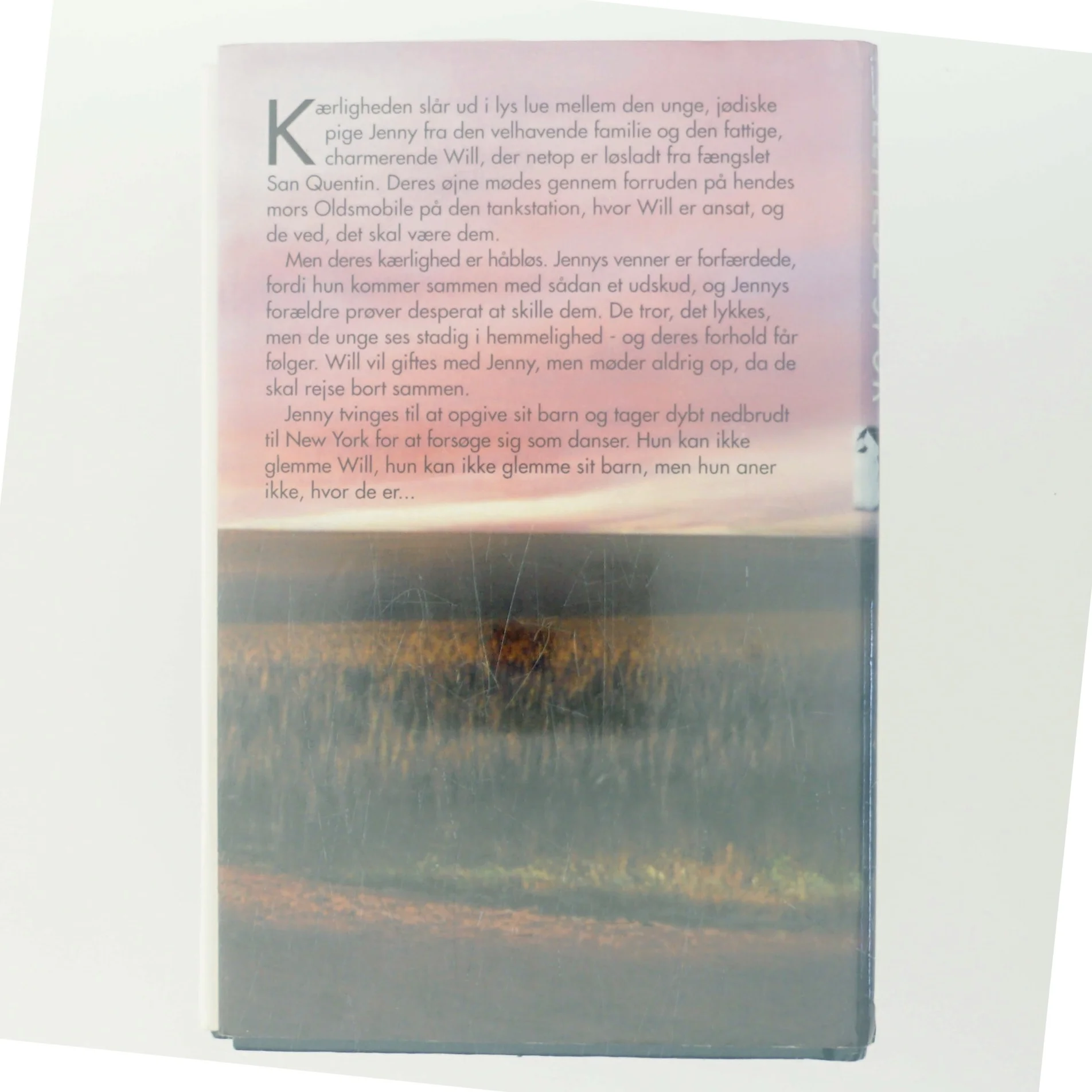 Slettede spor af Elaine Kagan (Bog)