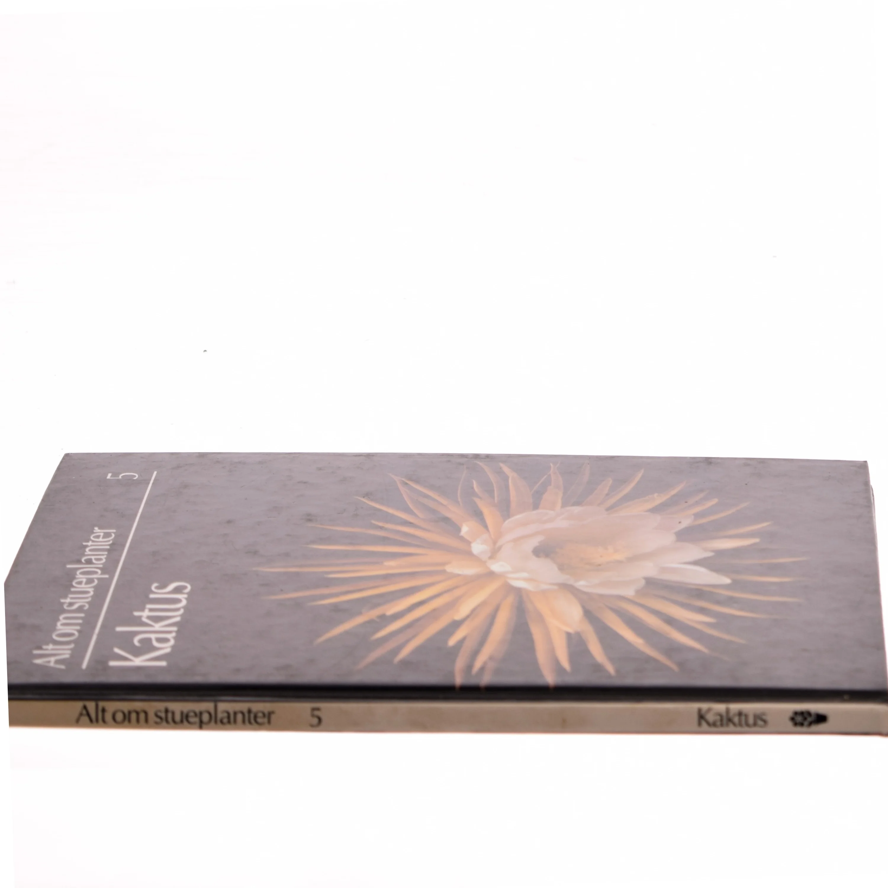 Kaktus af Ukendt (Bog)