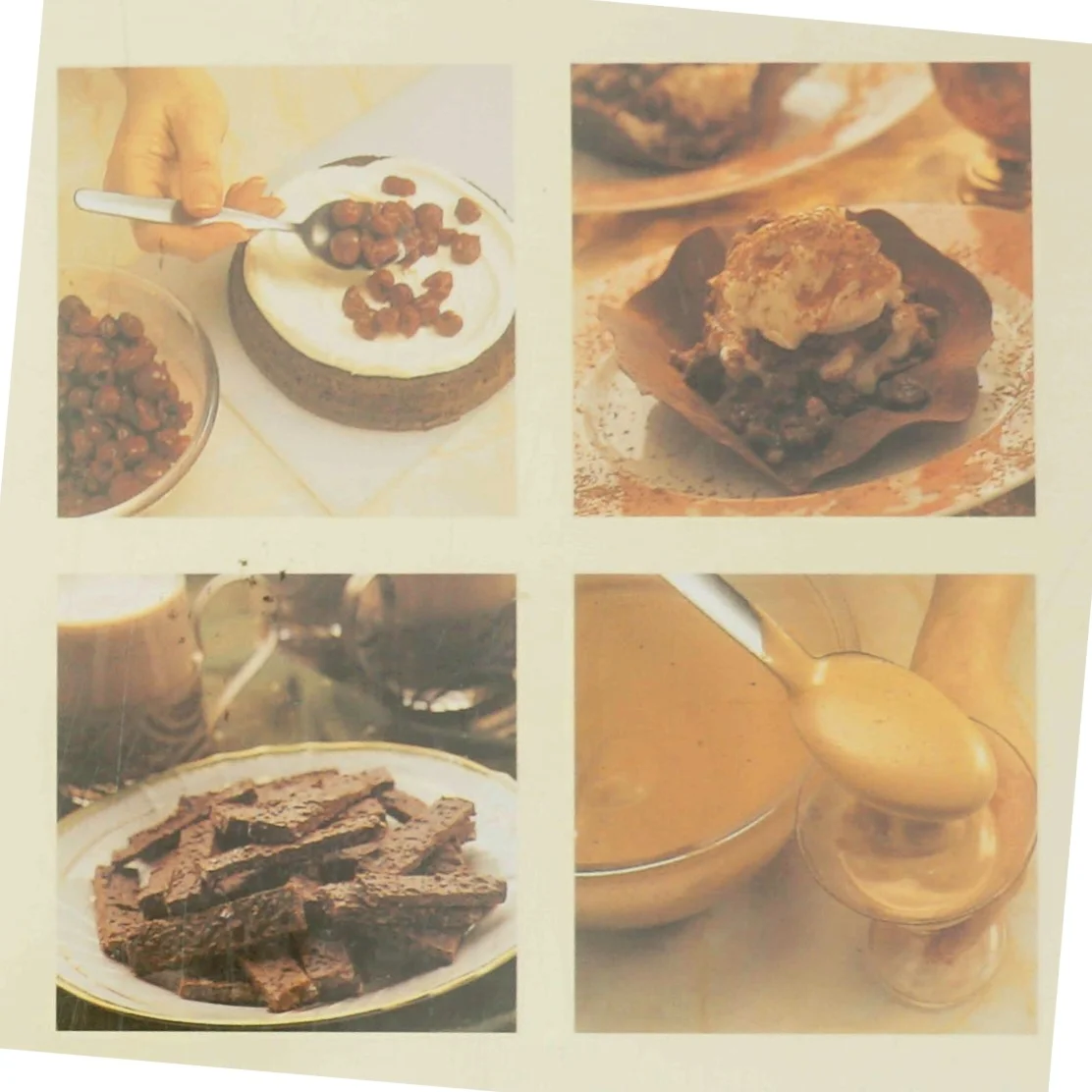 Chokolade delikatesser : de lækreste kager og desserter af Christine France (Bog)