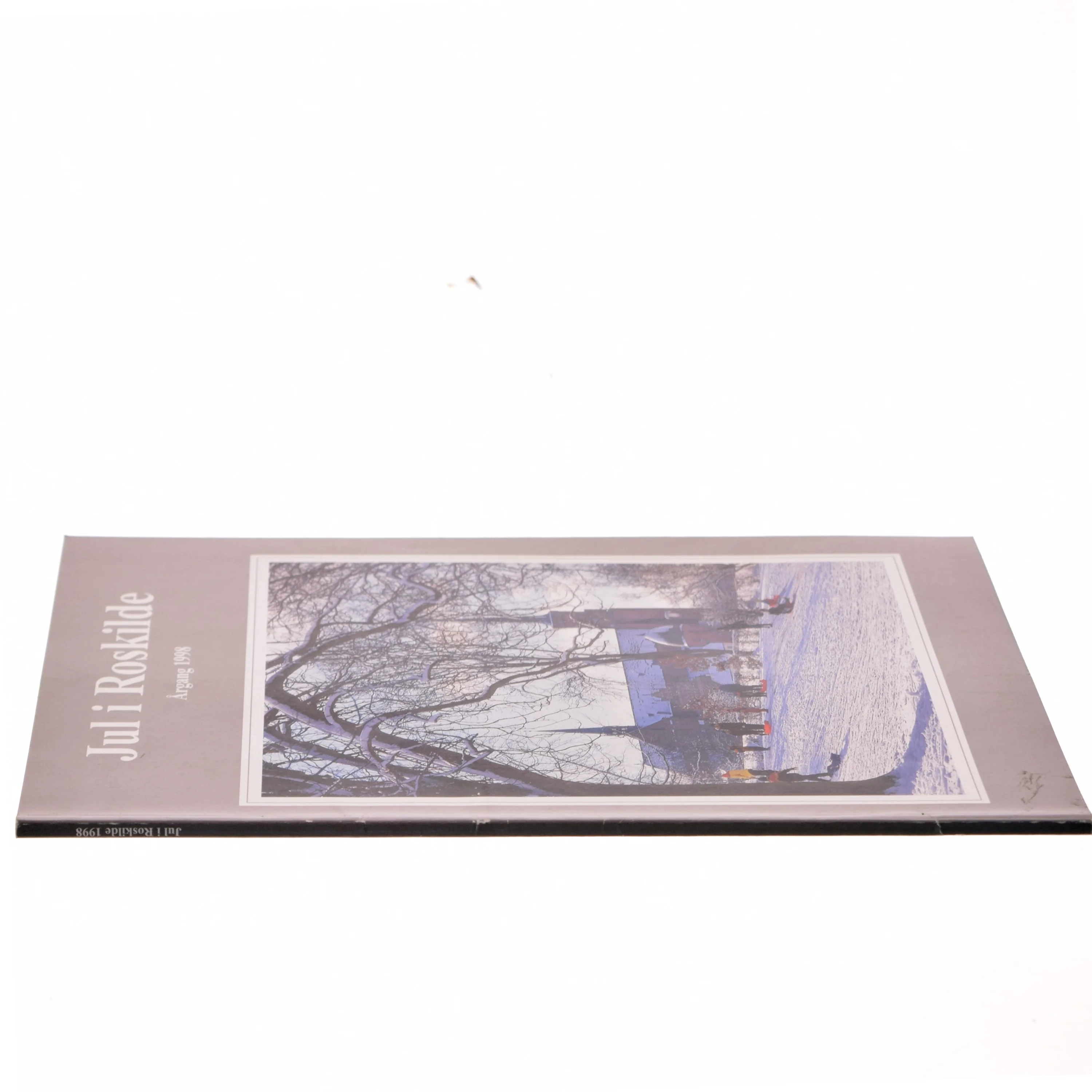 Bogserie om Roskilde